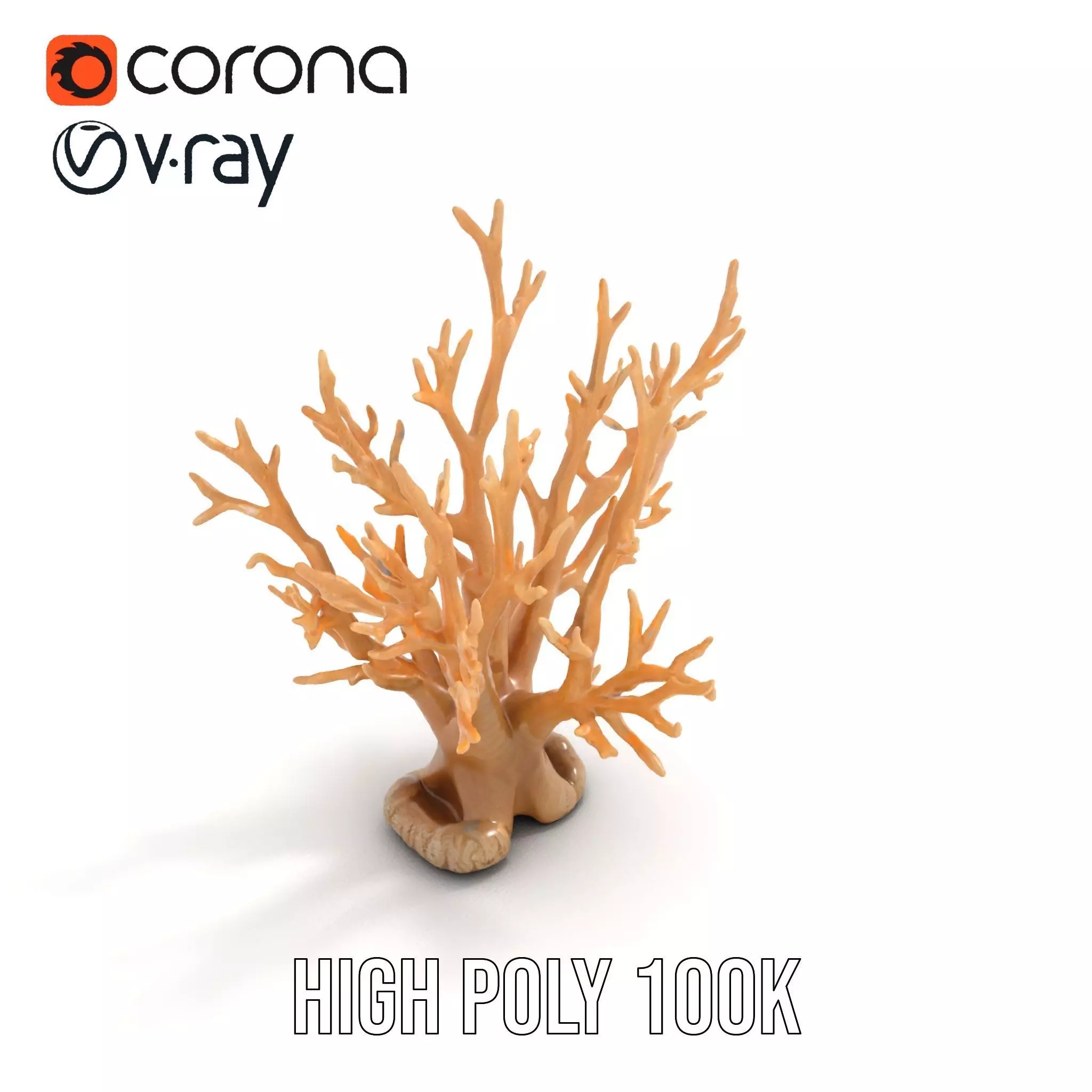 Natural Coral Branch model pack Low-poly 3D model_15