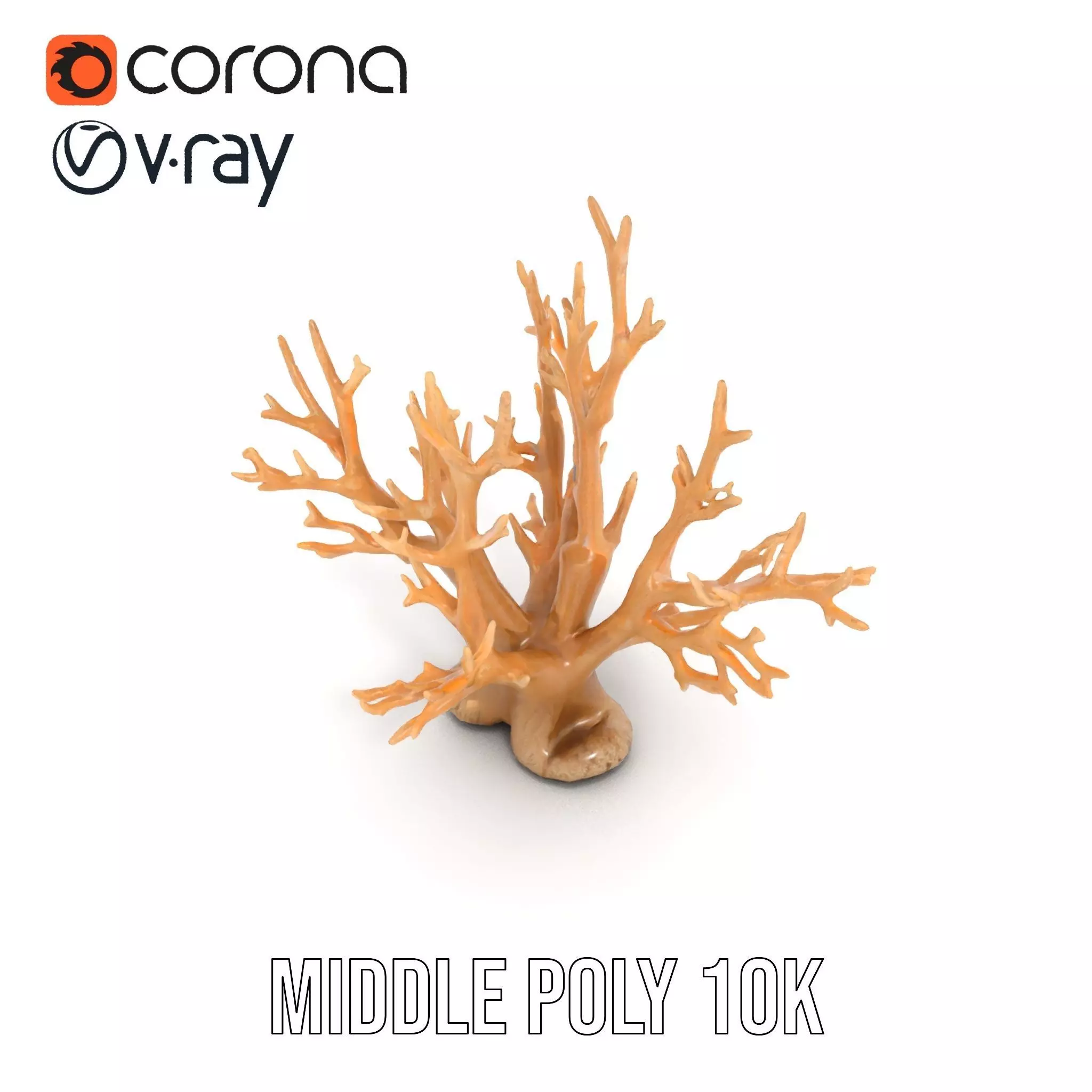 Natural Coral Branch model pack Low-poly 3D model_11