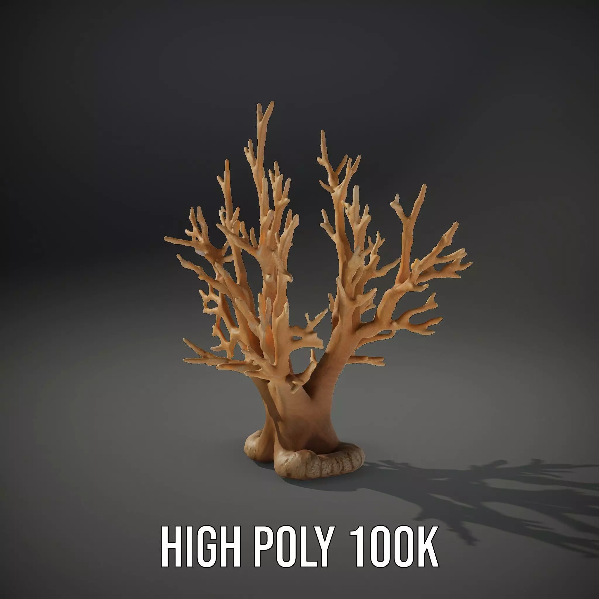 Natural Coral Branch model pack Low-poly 3D model_8