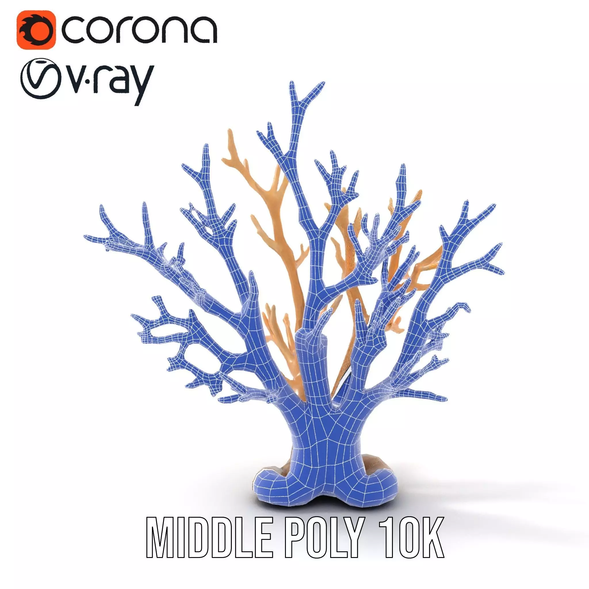 Natural Coral Branch model pack Low-poly 3D model_26