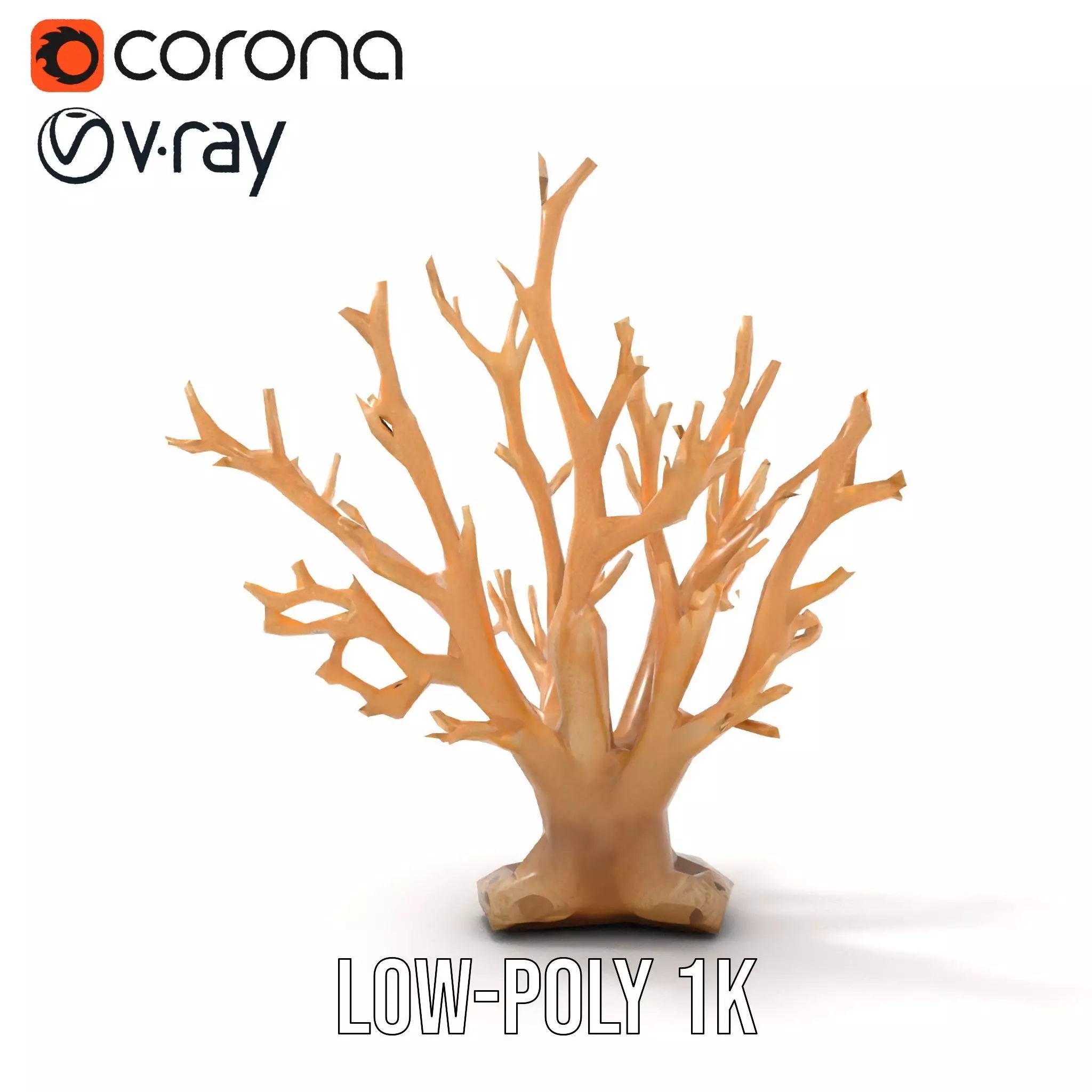 Natural Coral Branch model pack Low-poly 3D model_12