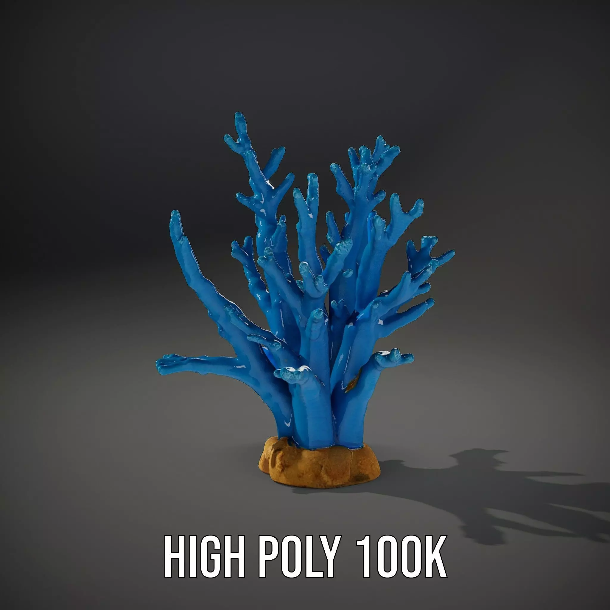 Azure Coral Reef model pack Low-poly 3D model_8