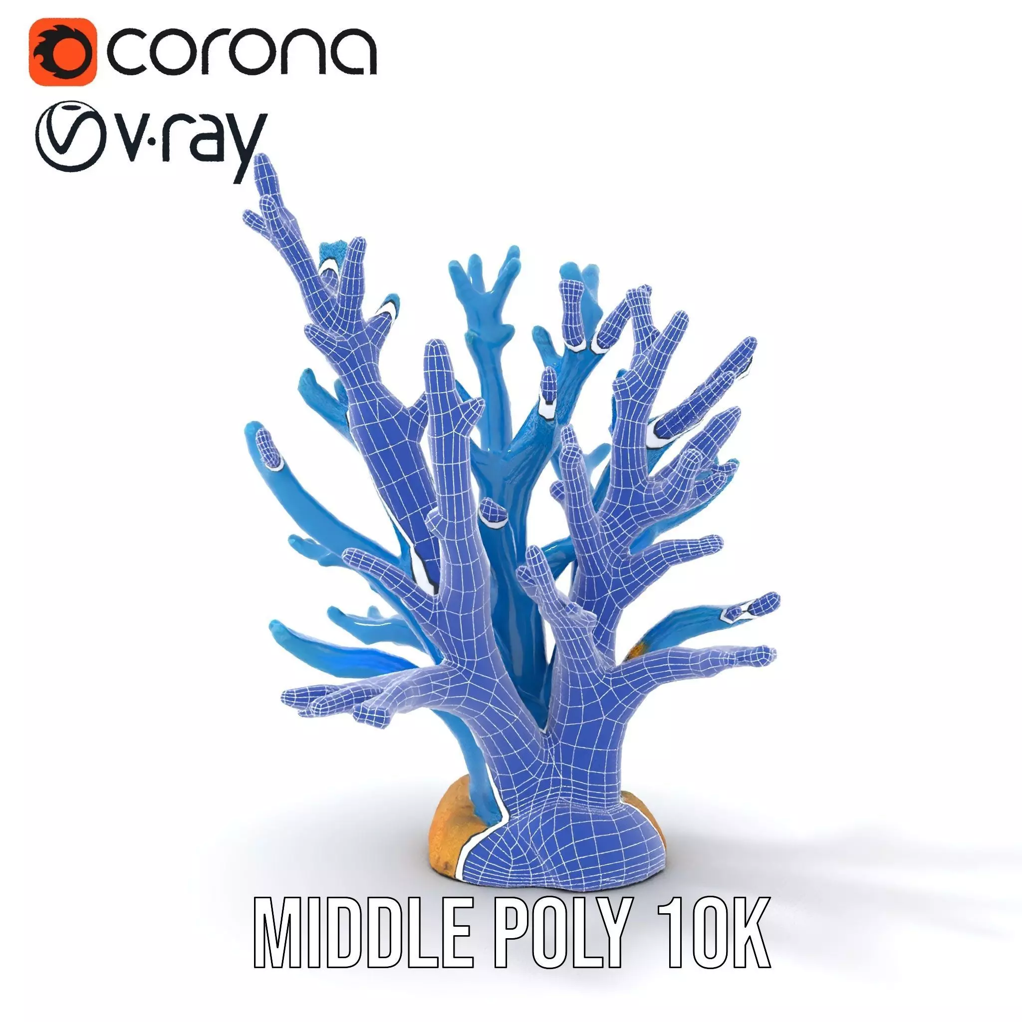 Azure Coral Reef model pack Low-poly 3D model_29