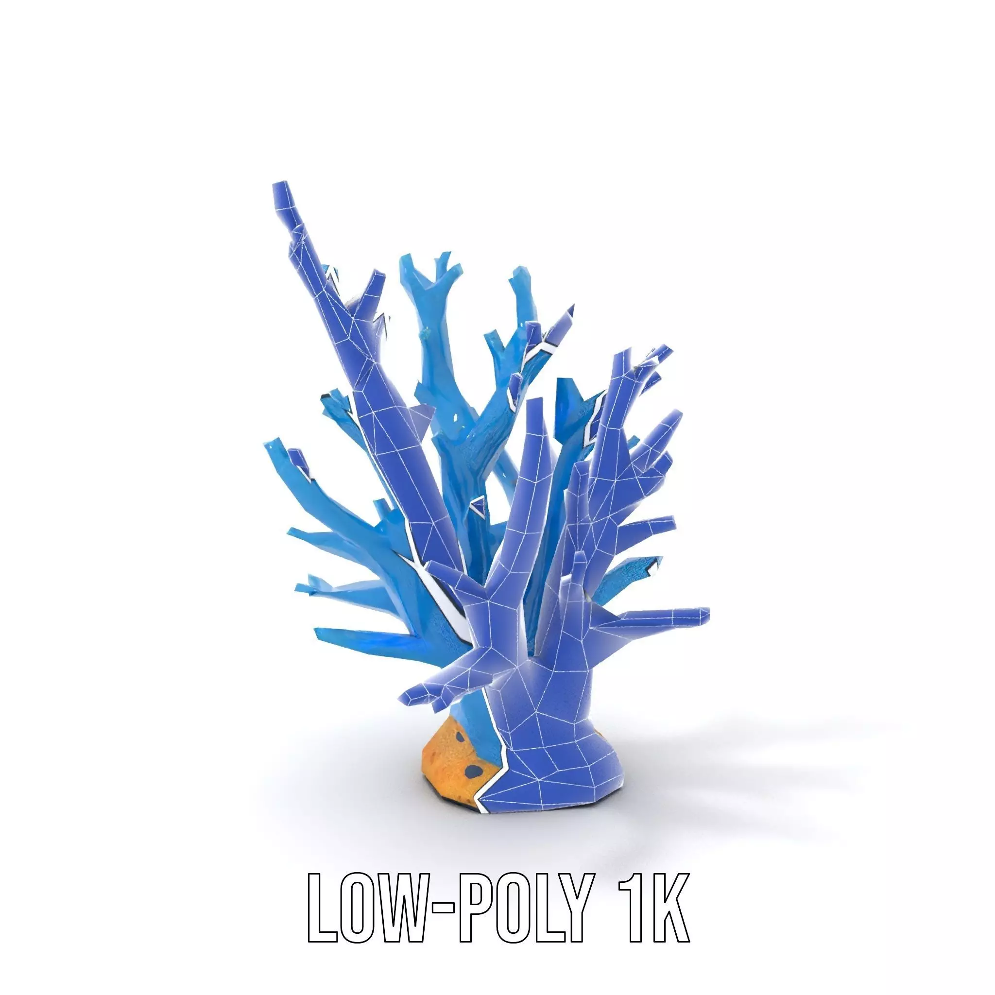 Azure Coral Reef model pack Low-poly 3D model_9