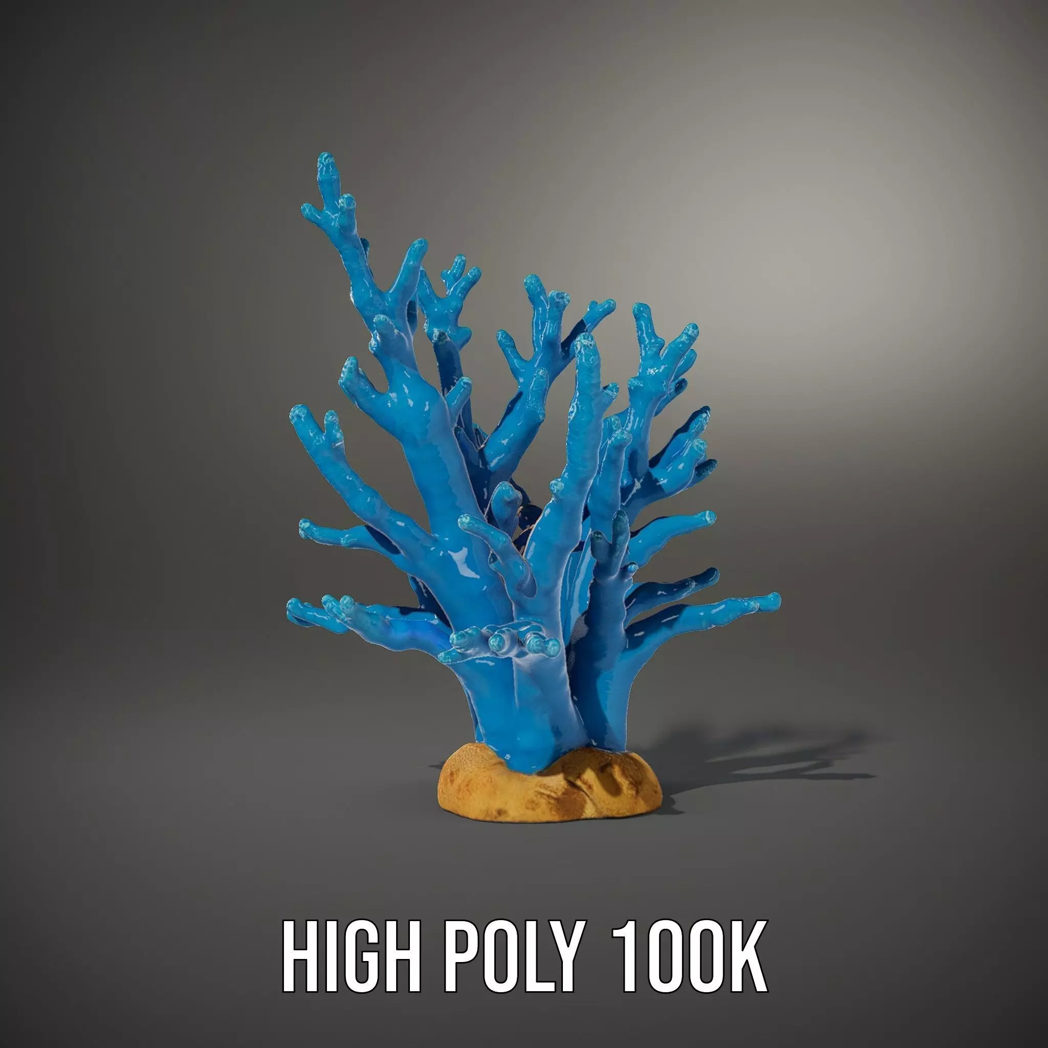 Azure Coral Reef model pack Low-poly 3D model_10