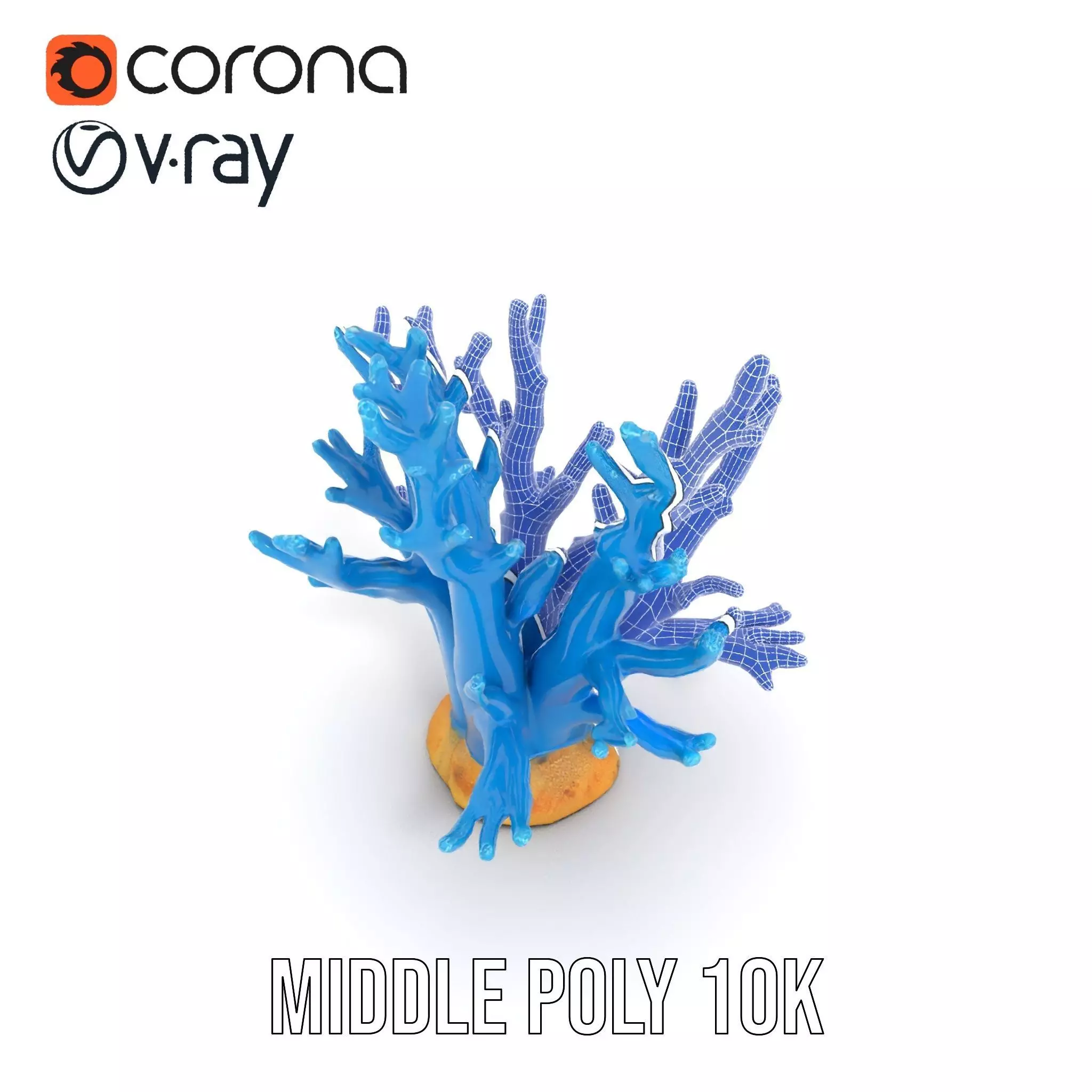 Azure Coral Reef model pack Low-poly 3D model_26