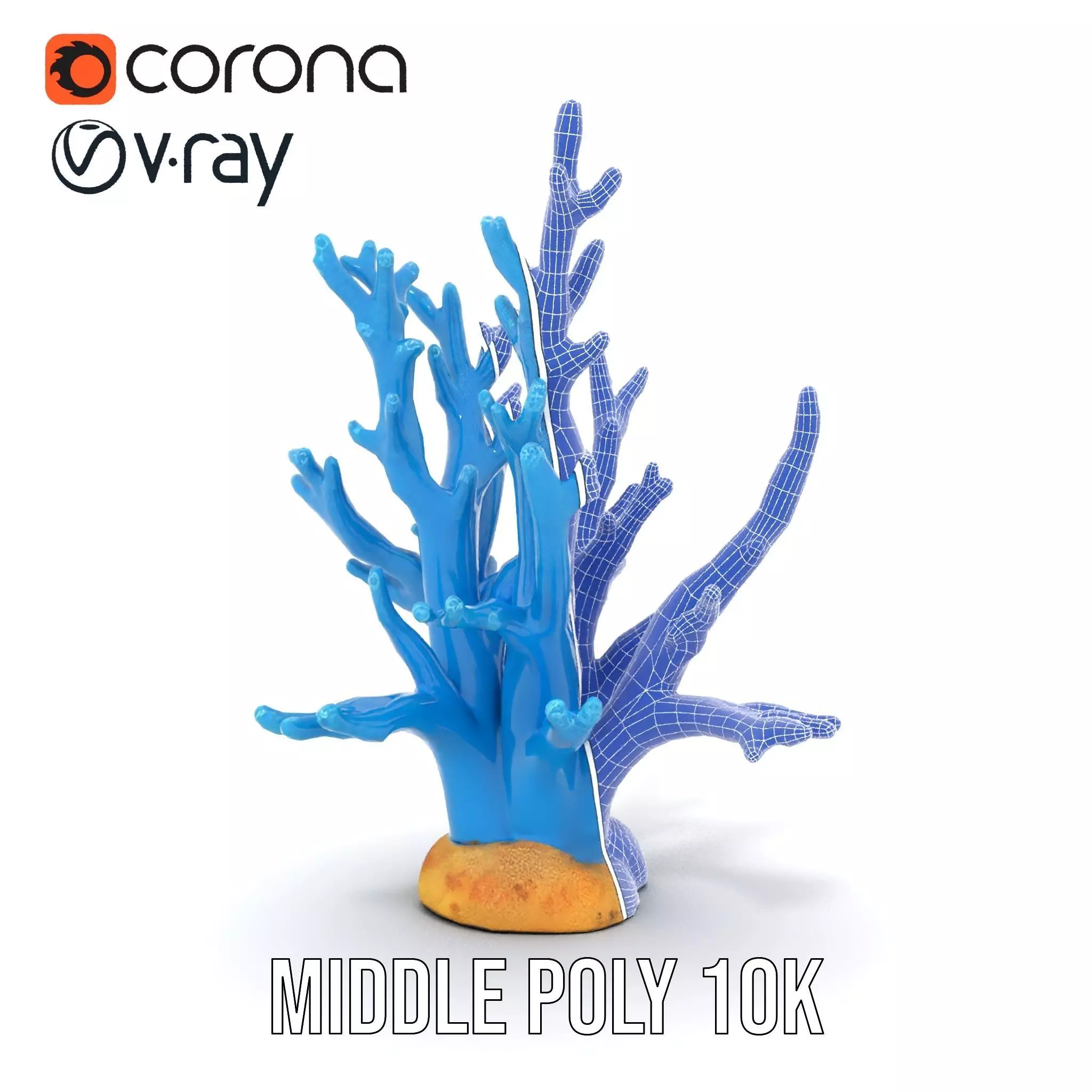 Azure Coral Reef model pack Low-poly 3D model_23