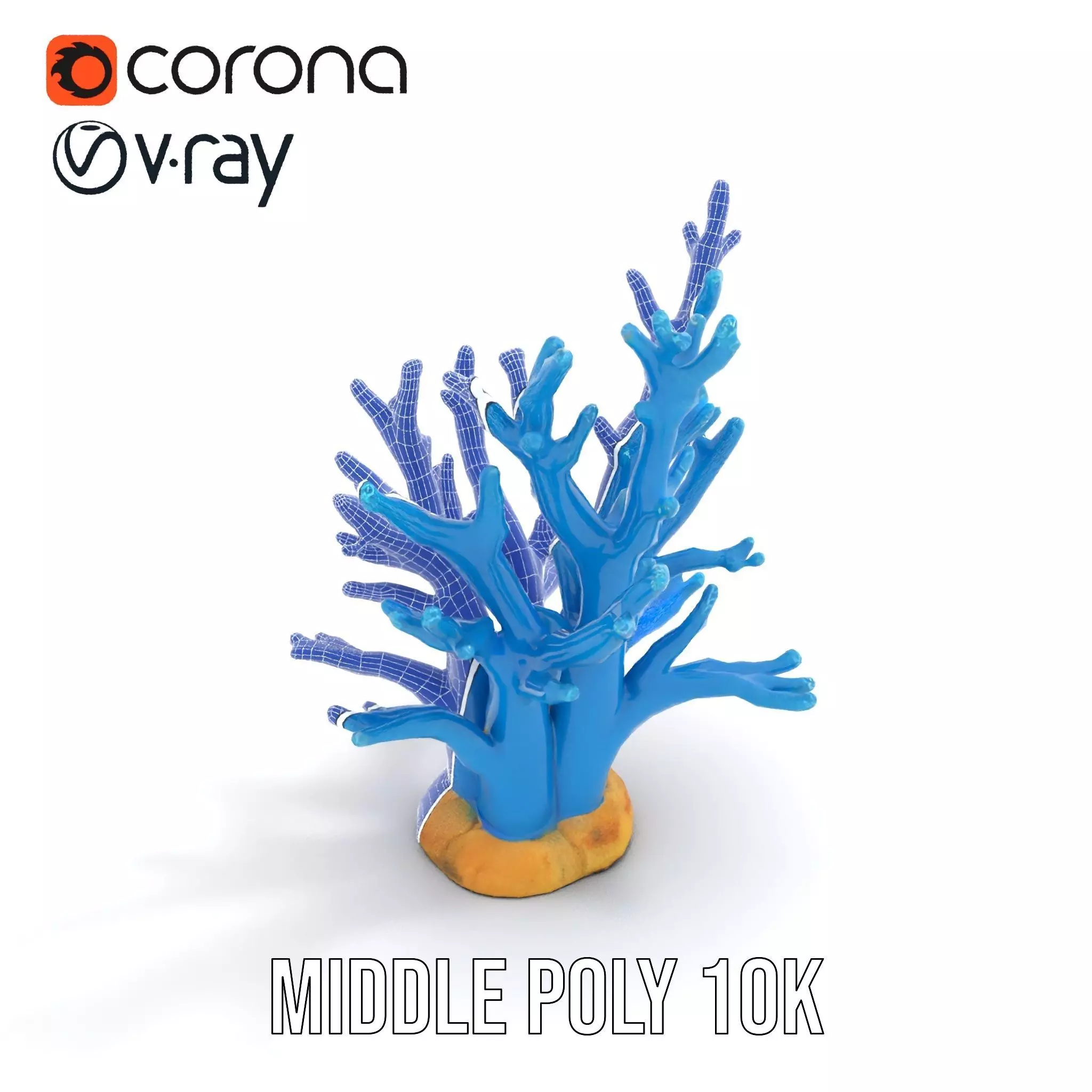 Azure Coral Reef model pack Low-poly 3D model_20