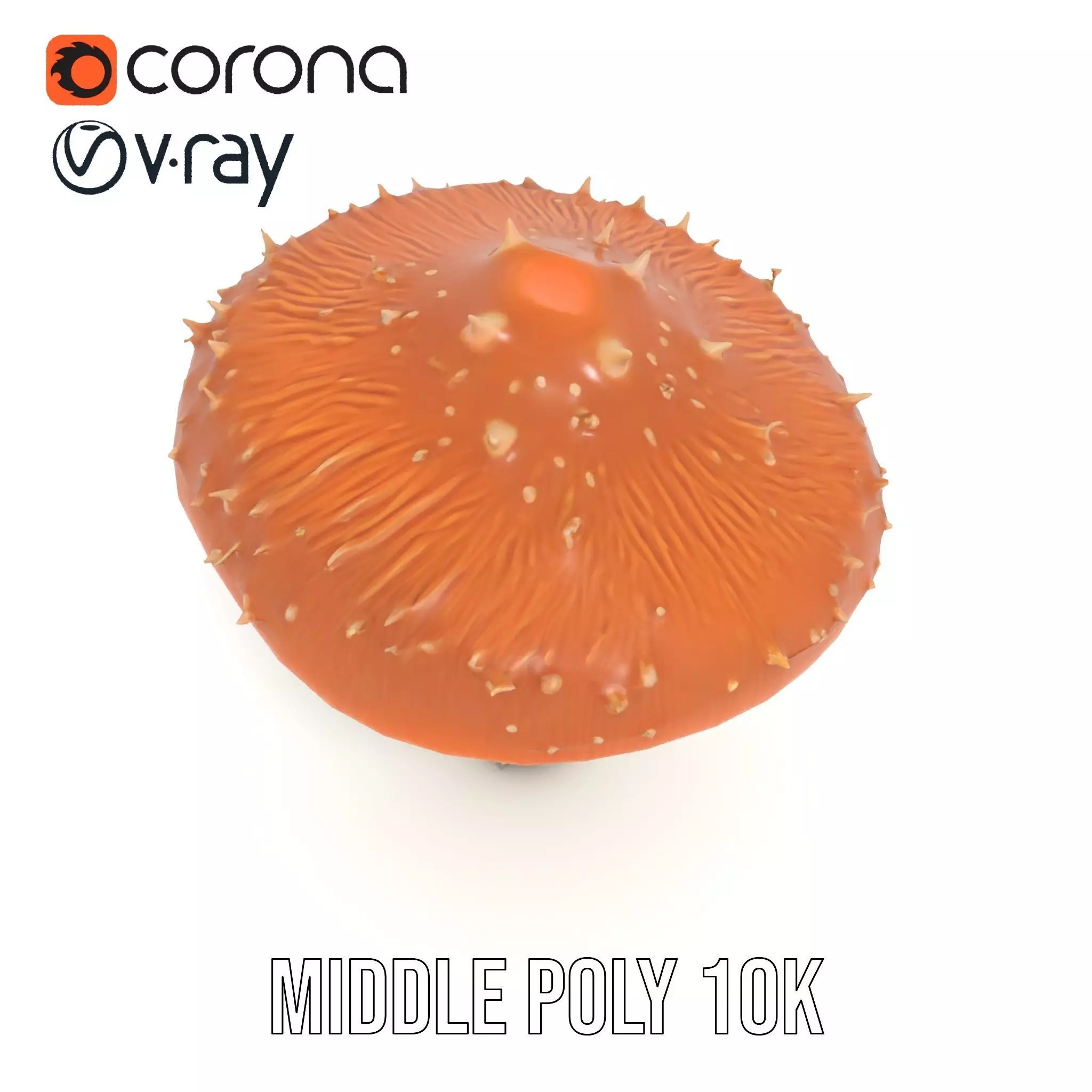 Spiky Mushroom model pack Low-poly 3D model_11