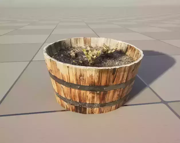 Rustic Wooden Barrel Planters with Soil and Plants