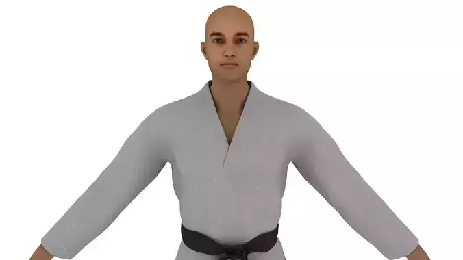 Realistic karate man