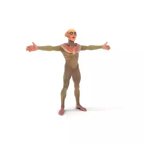 Detailed Alien Creature model pack