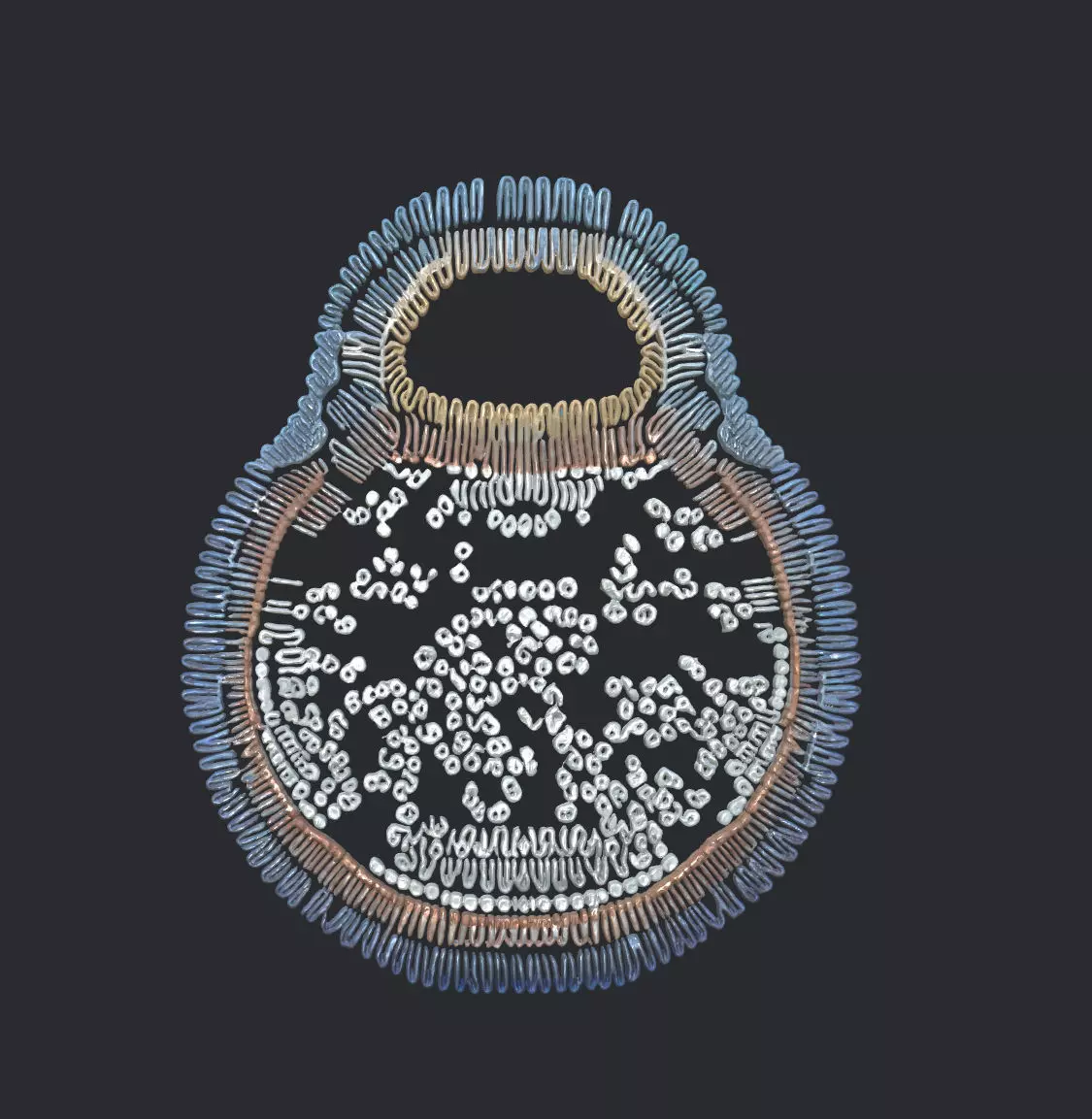 Hemifusomes 3d model 3D model