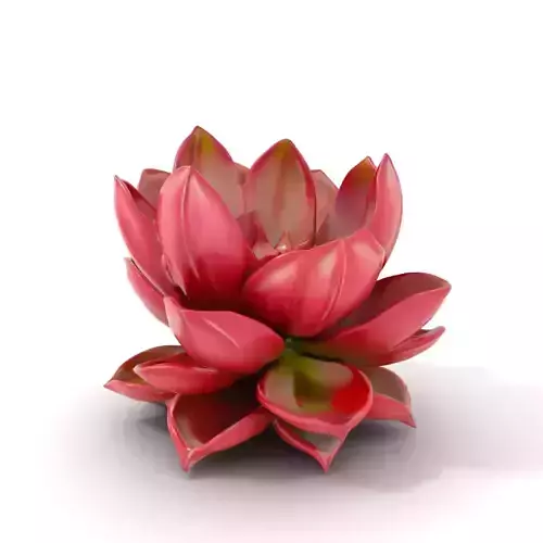 Crimson Succulent model pack