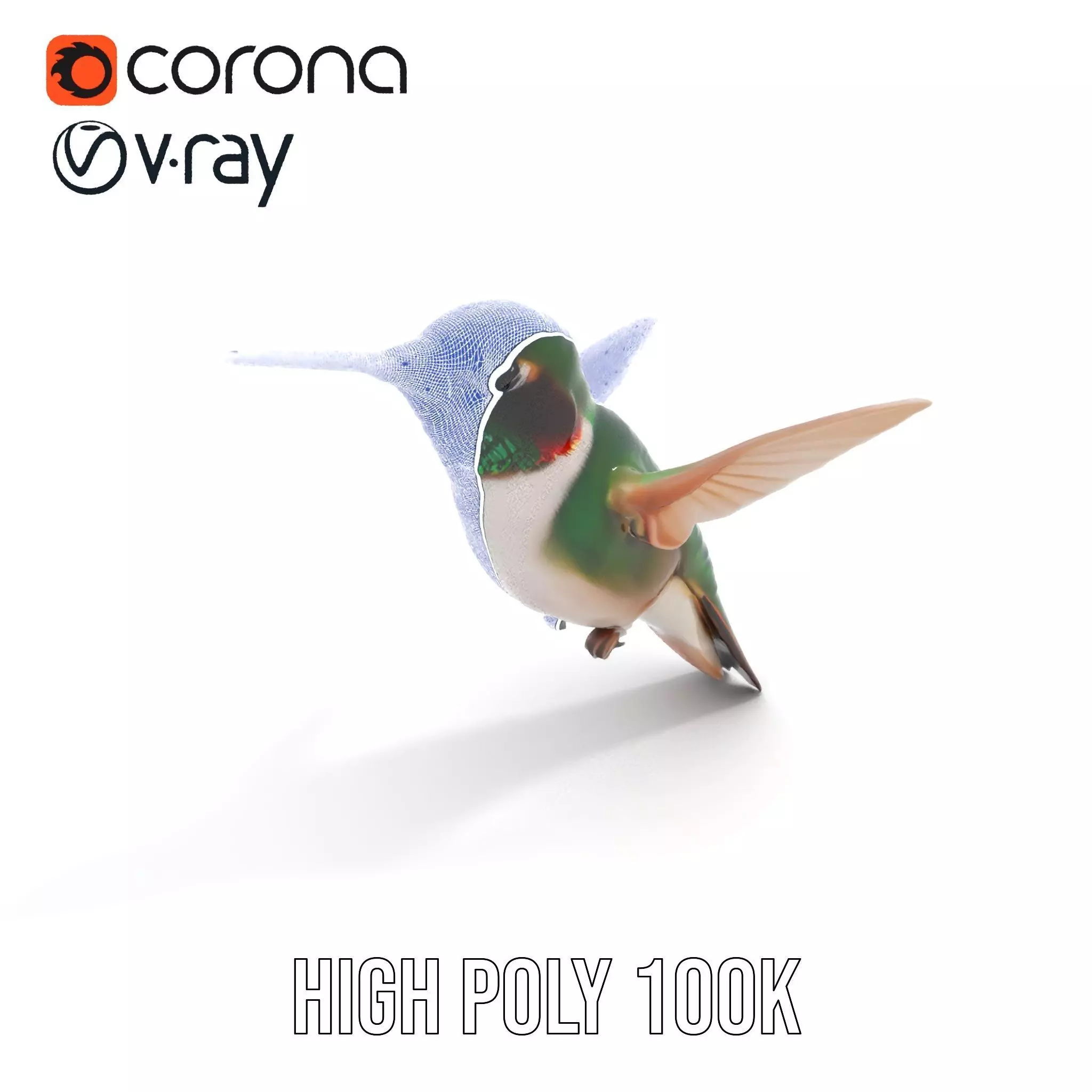 Emerald Hummingbird model pack Low-poly 3D model_33