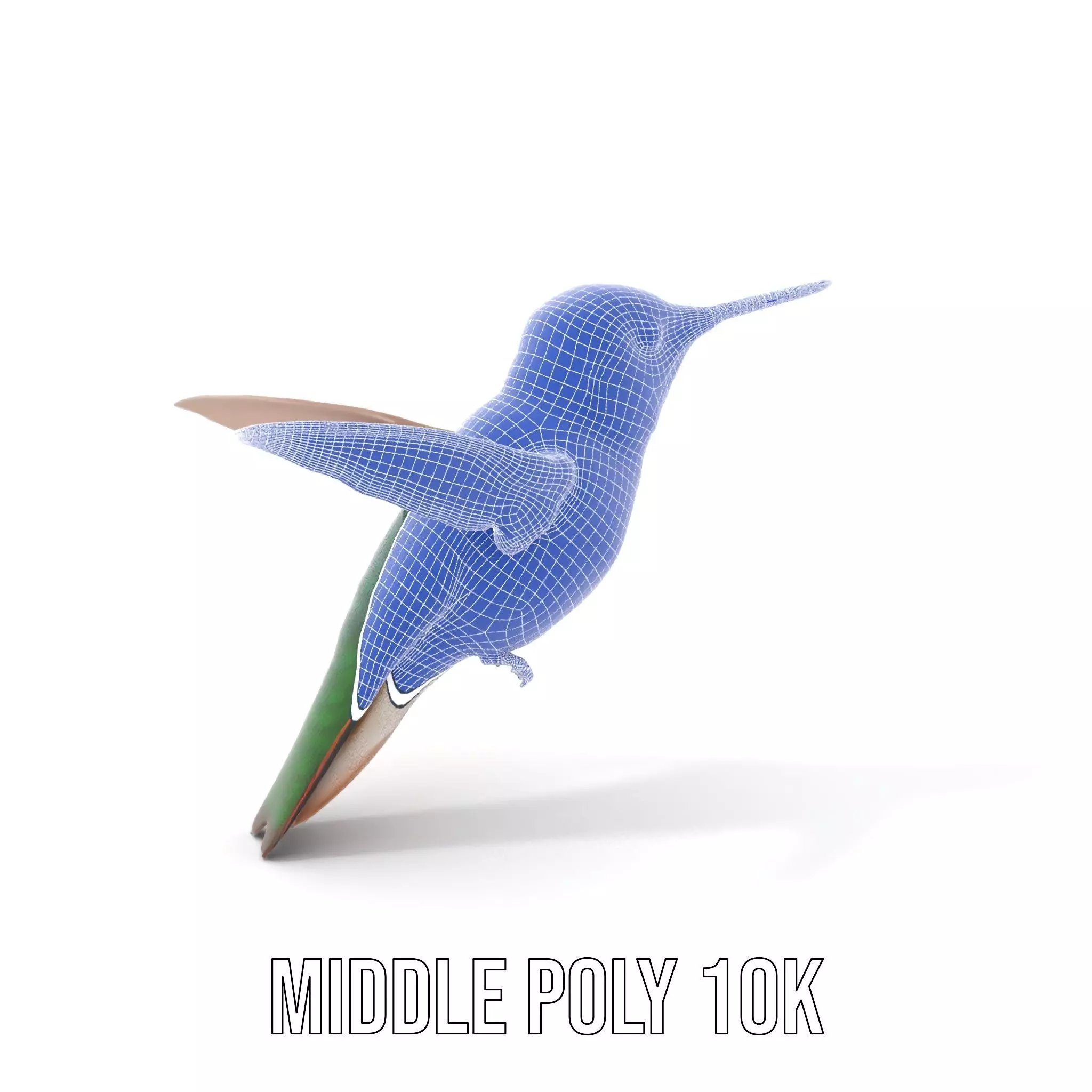 Emerald Hummingbird model pack Low-poly 3D model_18