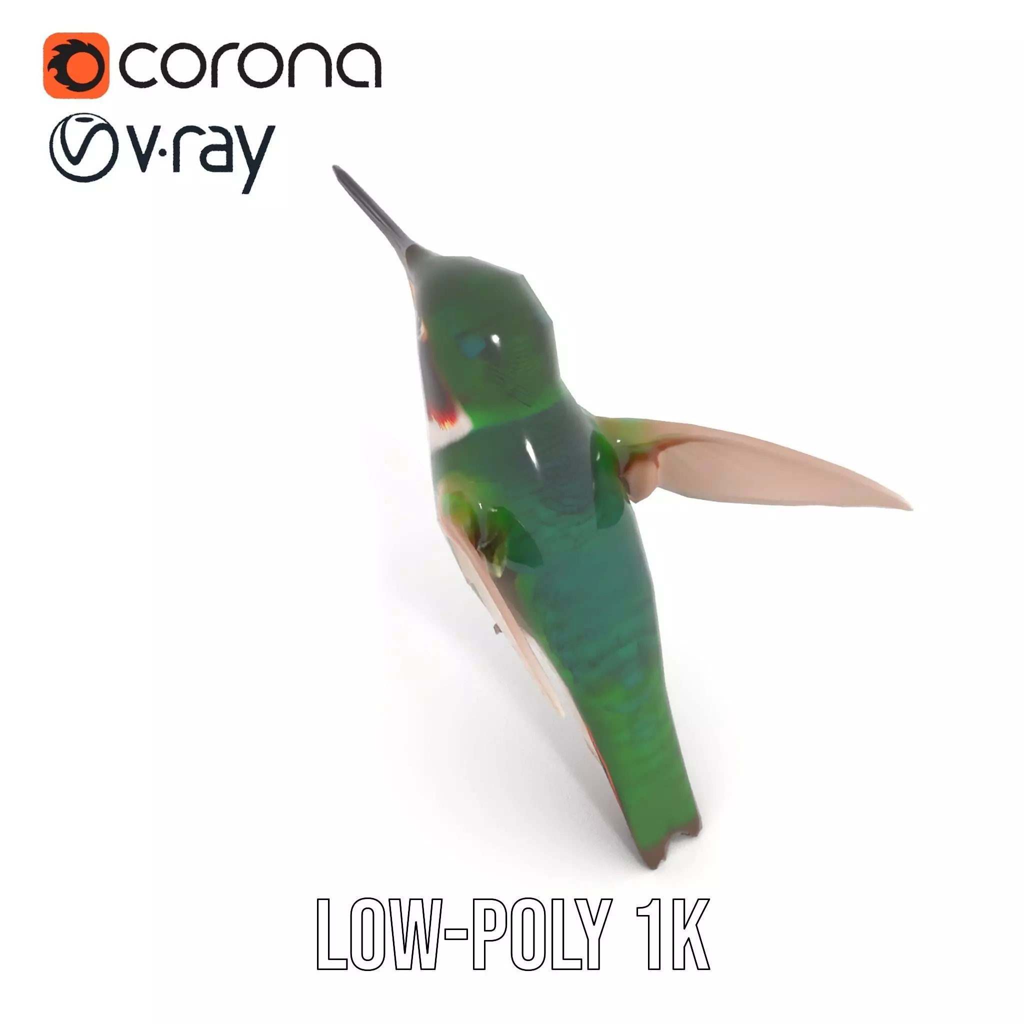 Emerald Hummingbird model pack Low-poly 3D model_12