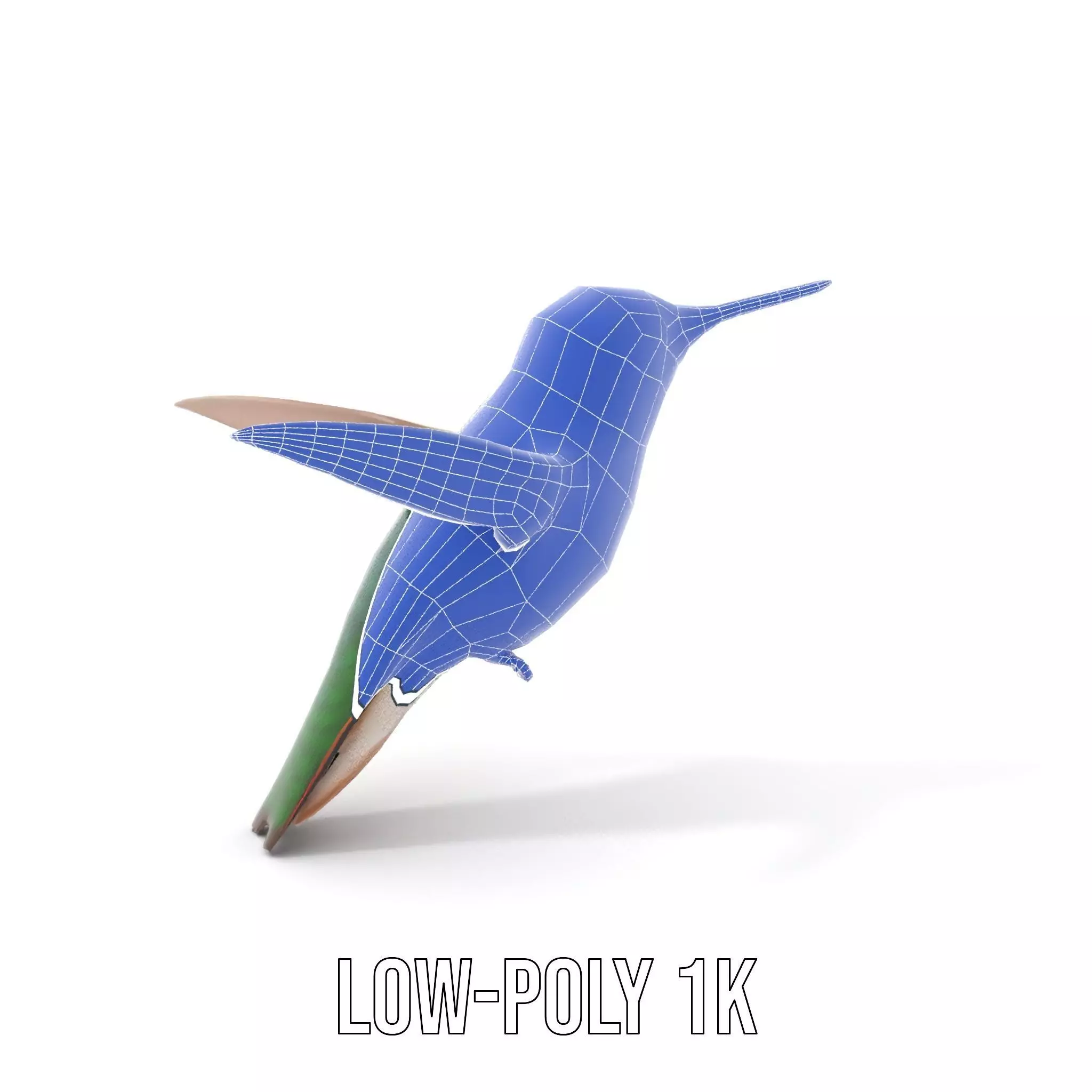 Emerald Hummingbird model pack Low-poly 3D model_14