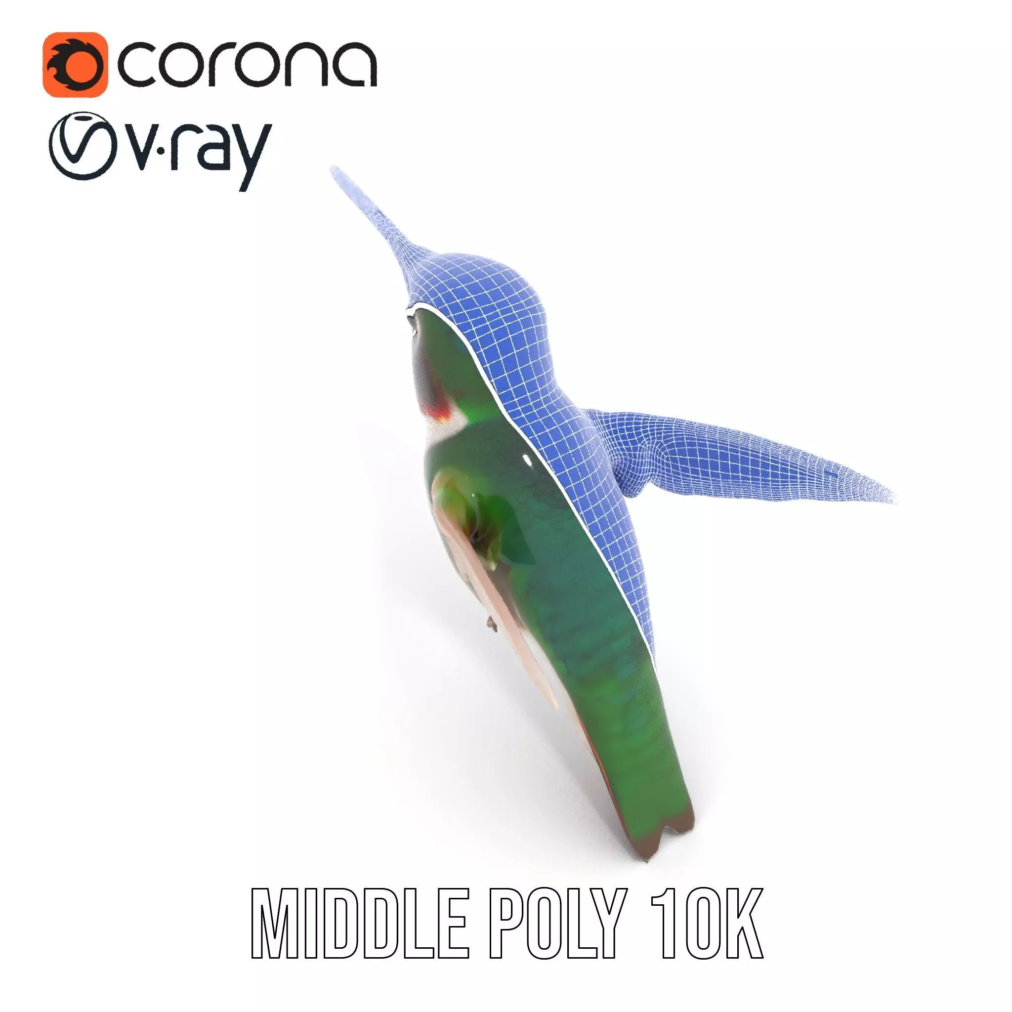 Emerald Hummingbird model pack Low-poly 3D model_21