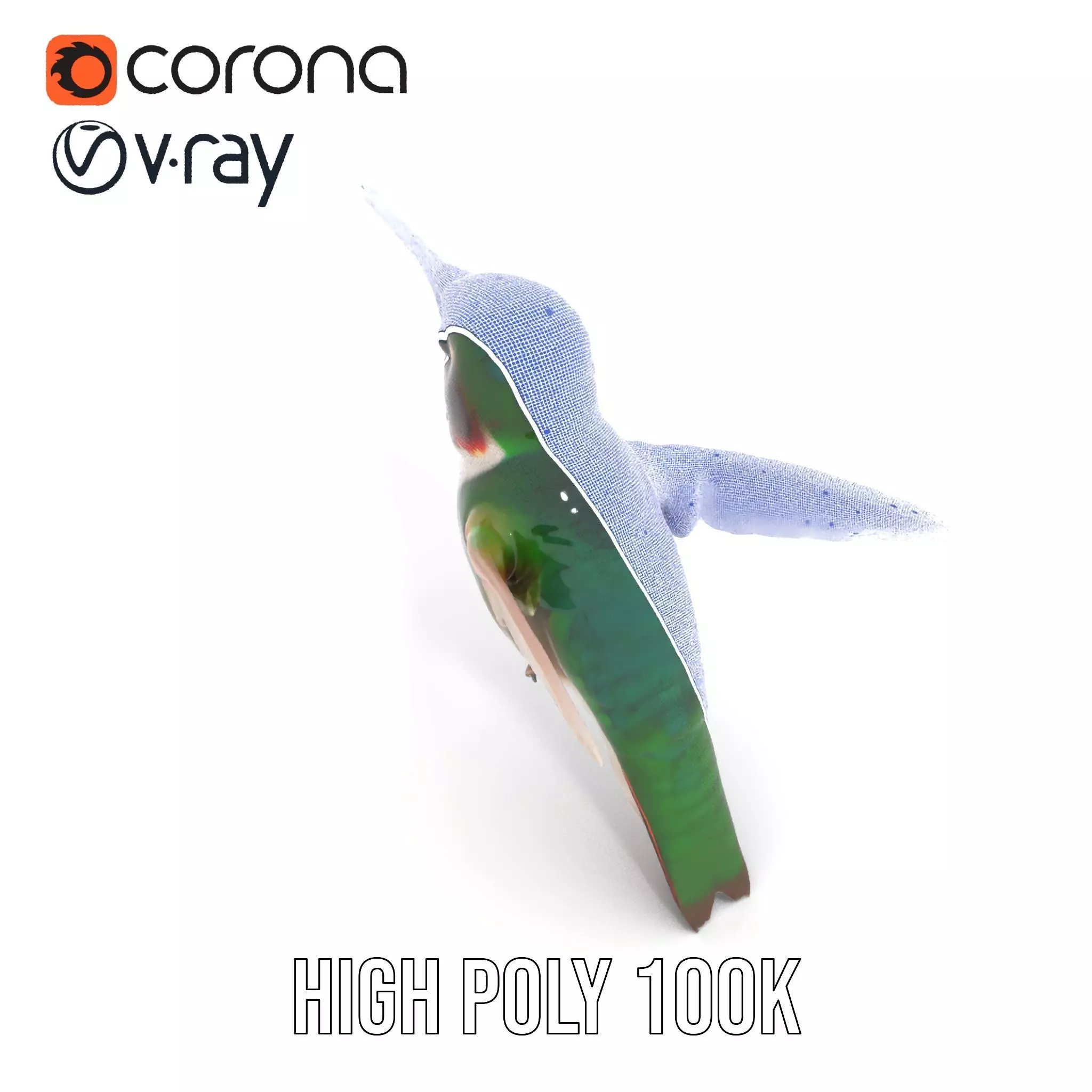 Emerald Hummingbird model pack Low-poly 3D model_29
