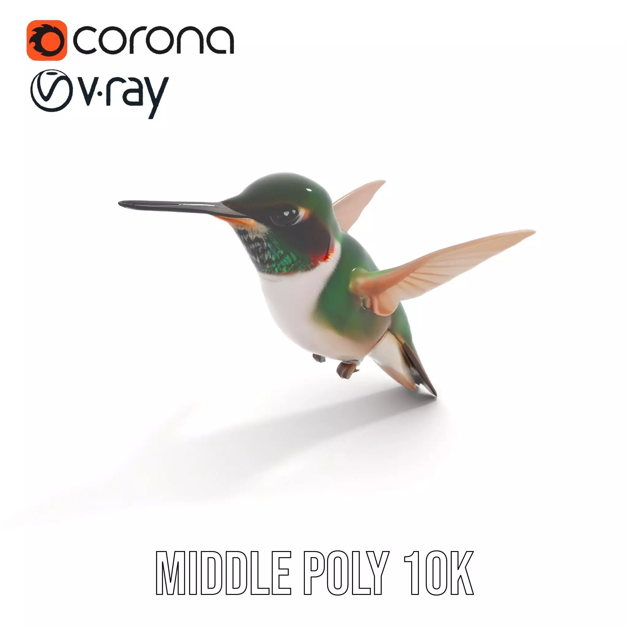 Emerald Hummingbird model pack Low-poly 3D model_5