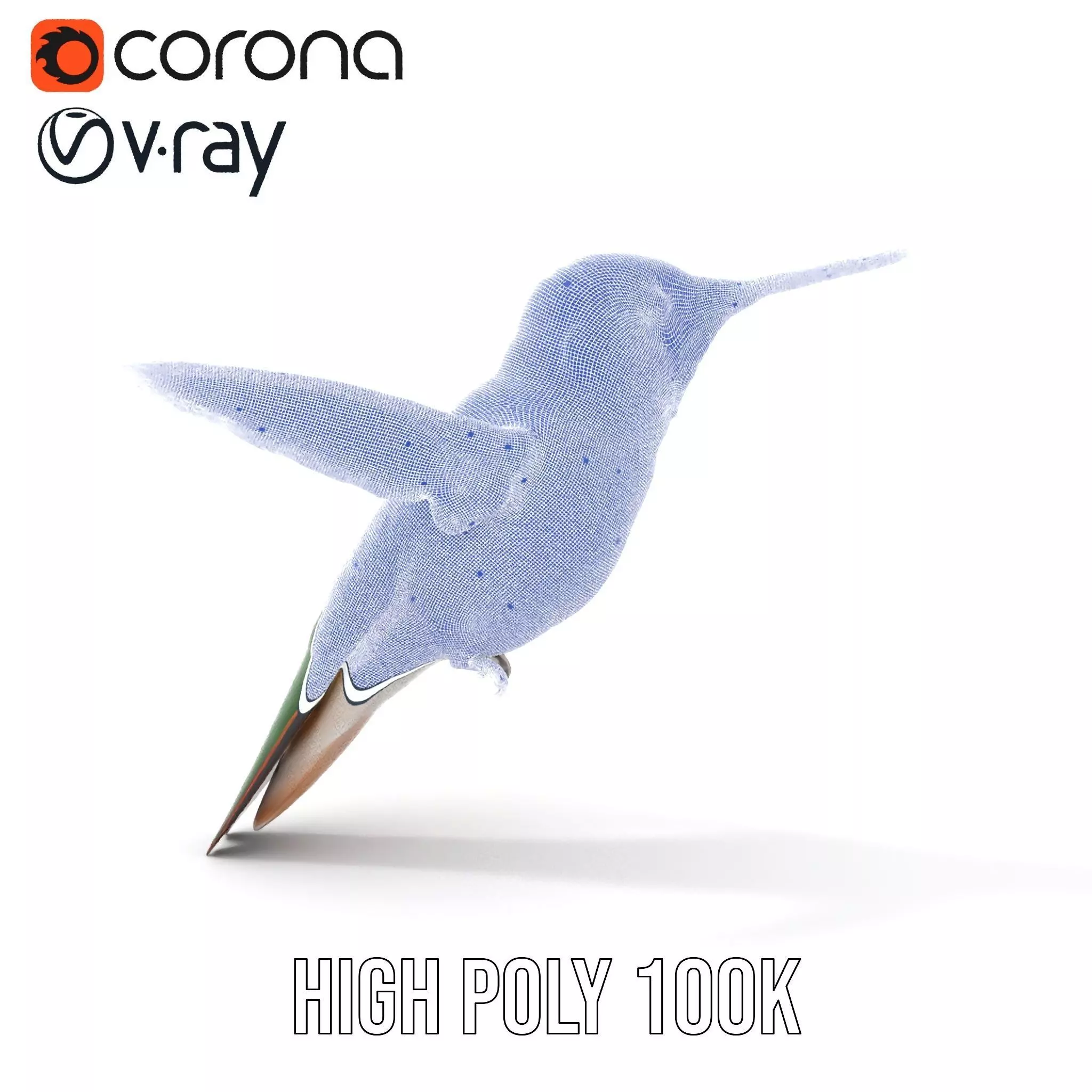 Emerald Hummingbird model pack Low-poly 3D model_34