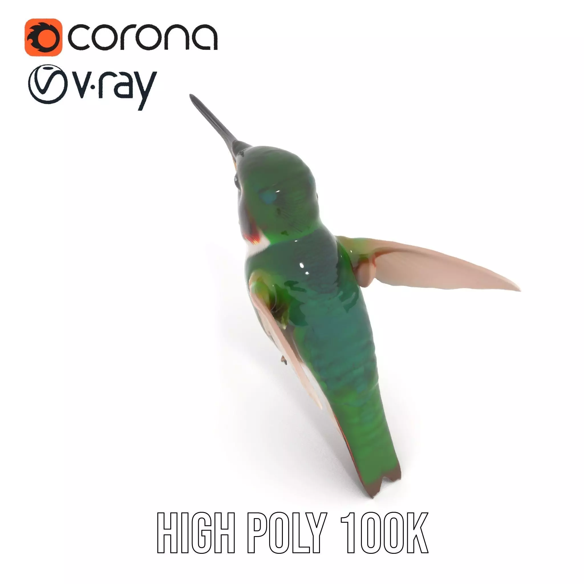 Emerald Hummingbird model pack Low-poly 3D model_20