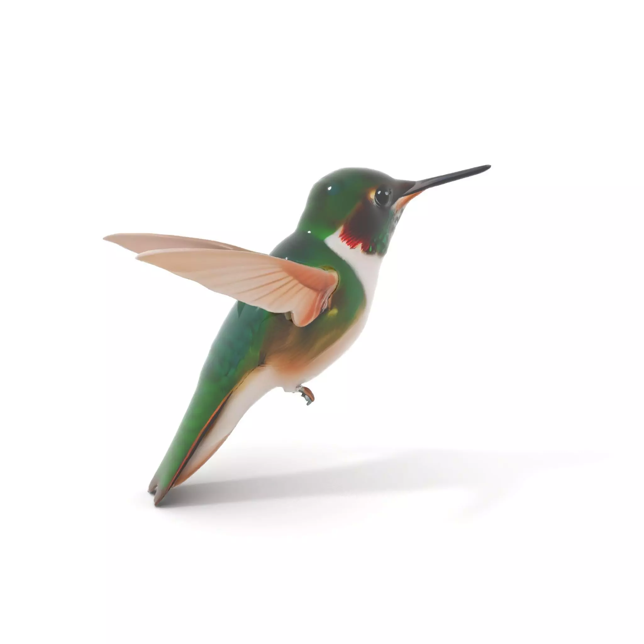 Emerald Hummingbird model pack Low-poly 3D model_6