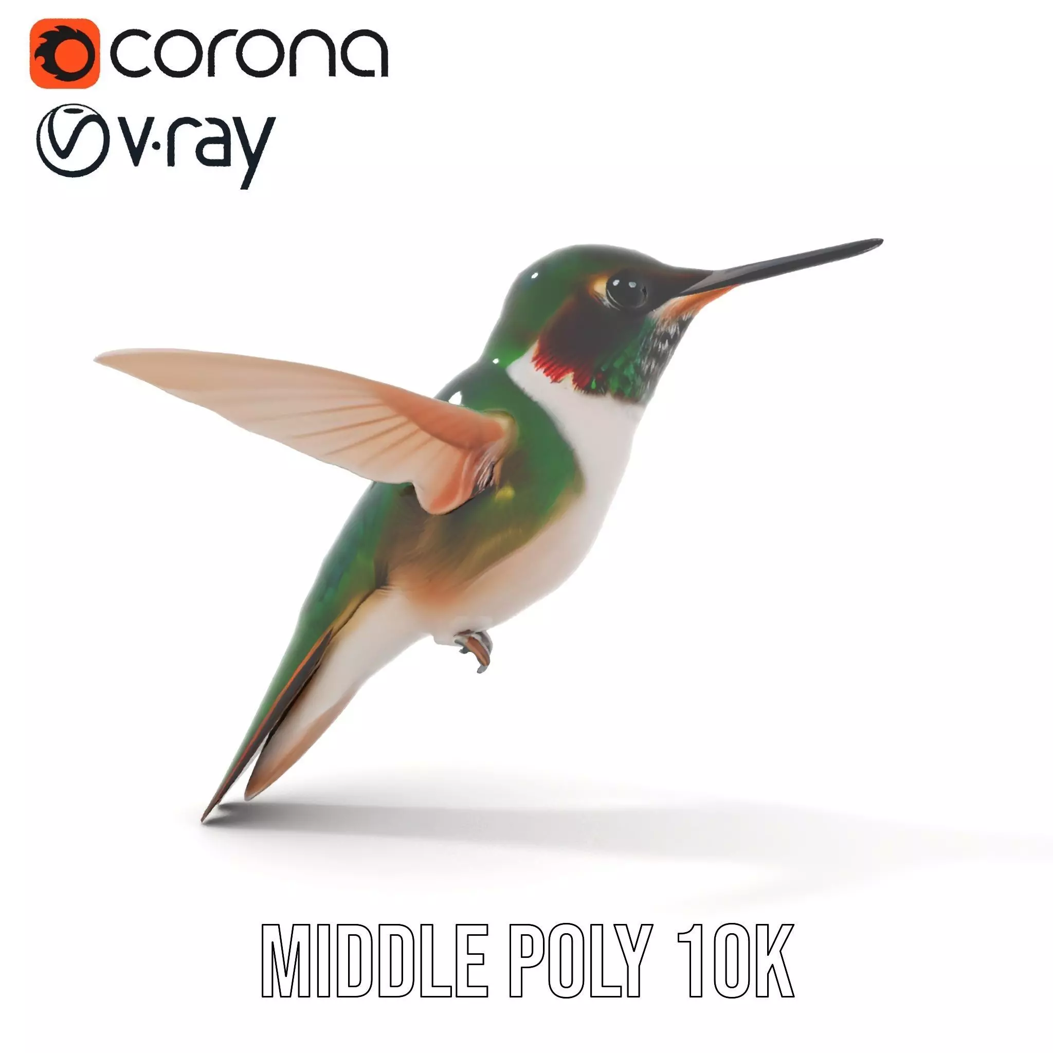 Emerald Hummingbird model pack Low-poly 3D model_15