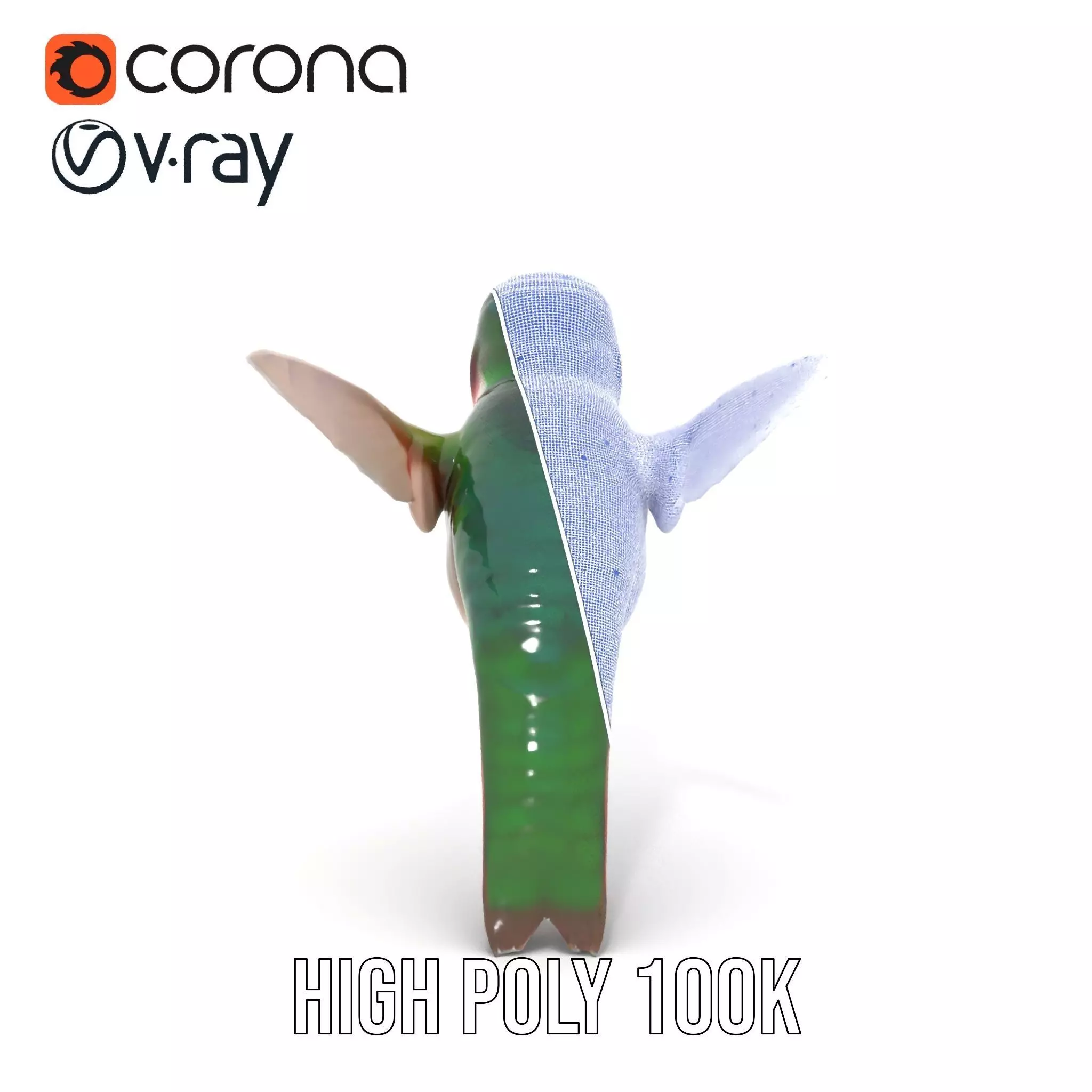 Emerald Hummingbird model pack Low-poly 3D model_26