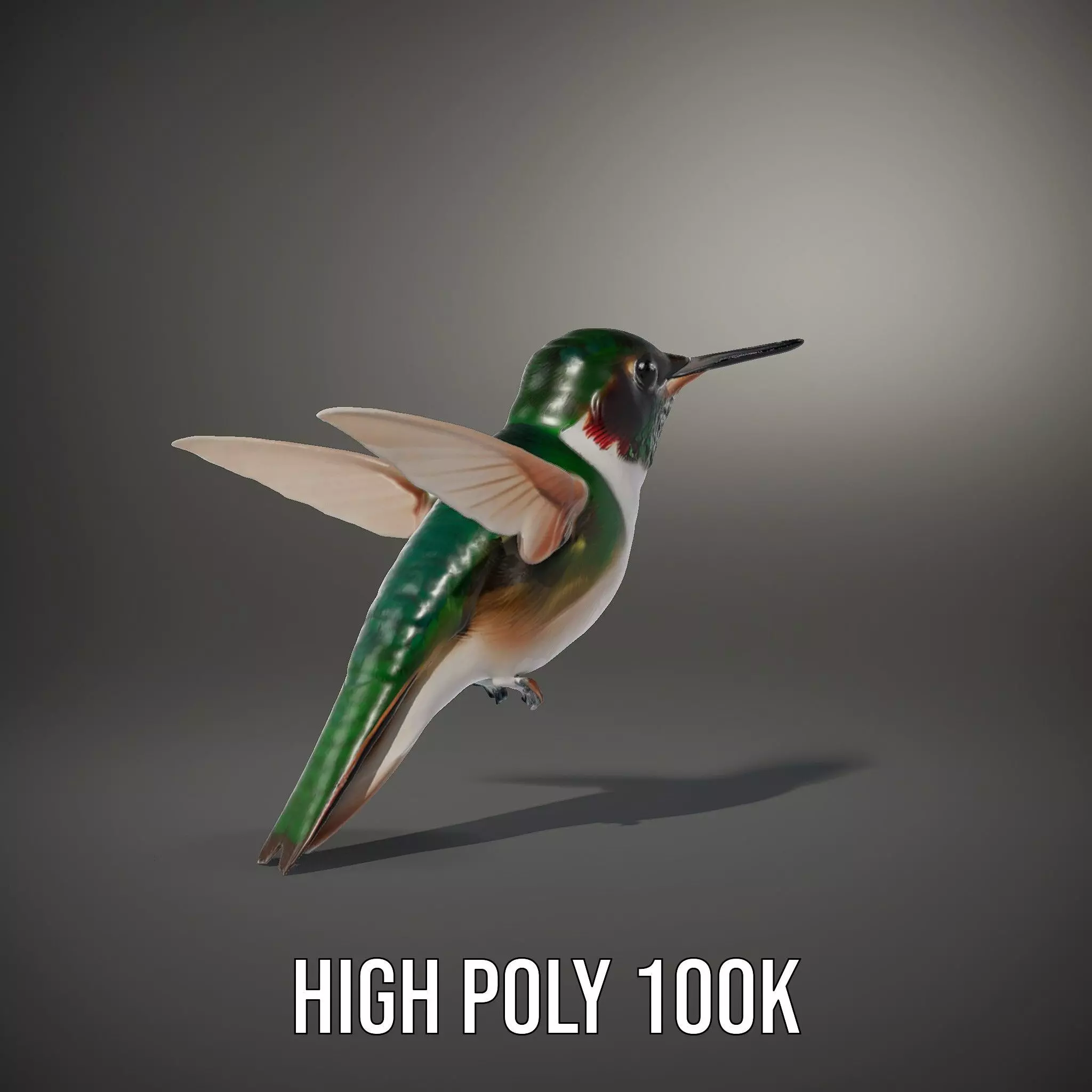 Emerald Hummingbird model pack Low-poly 3D model_10