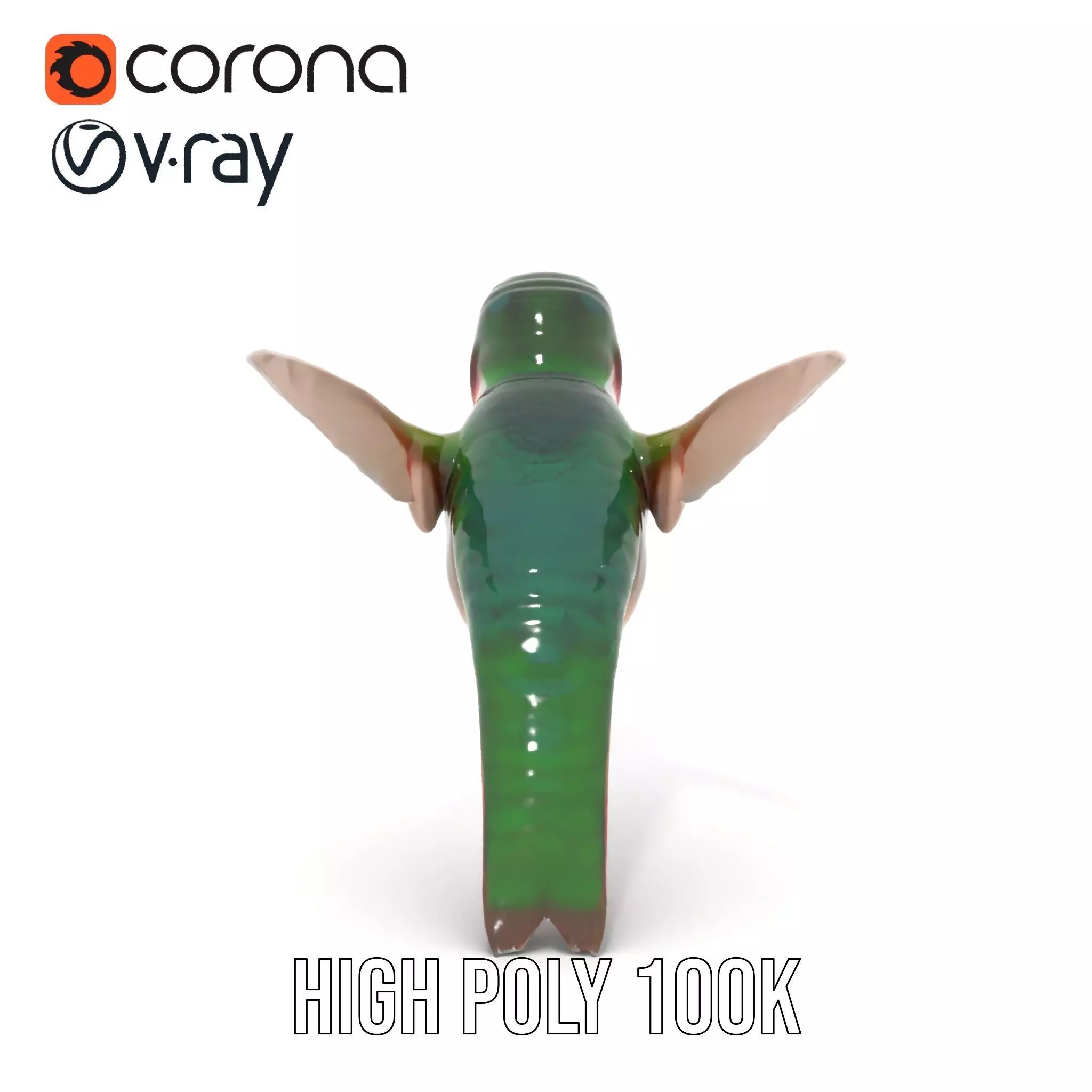 Emerald Hummingbird model pack Low-poly 3D model_32