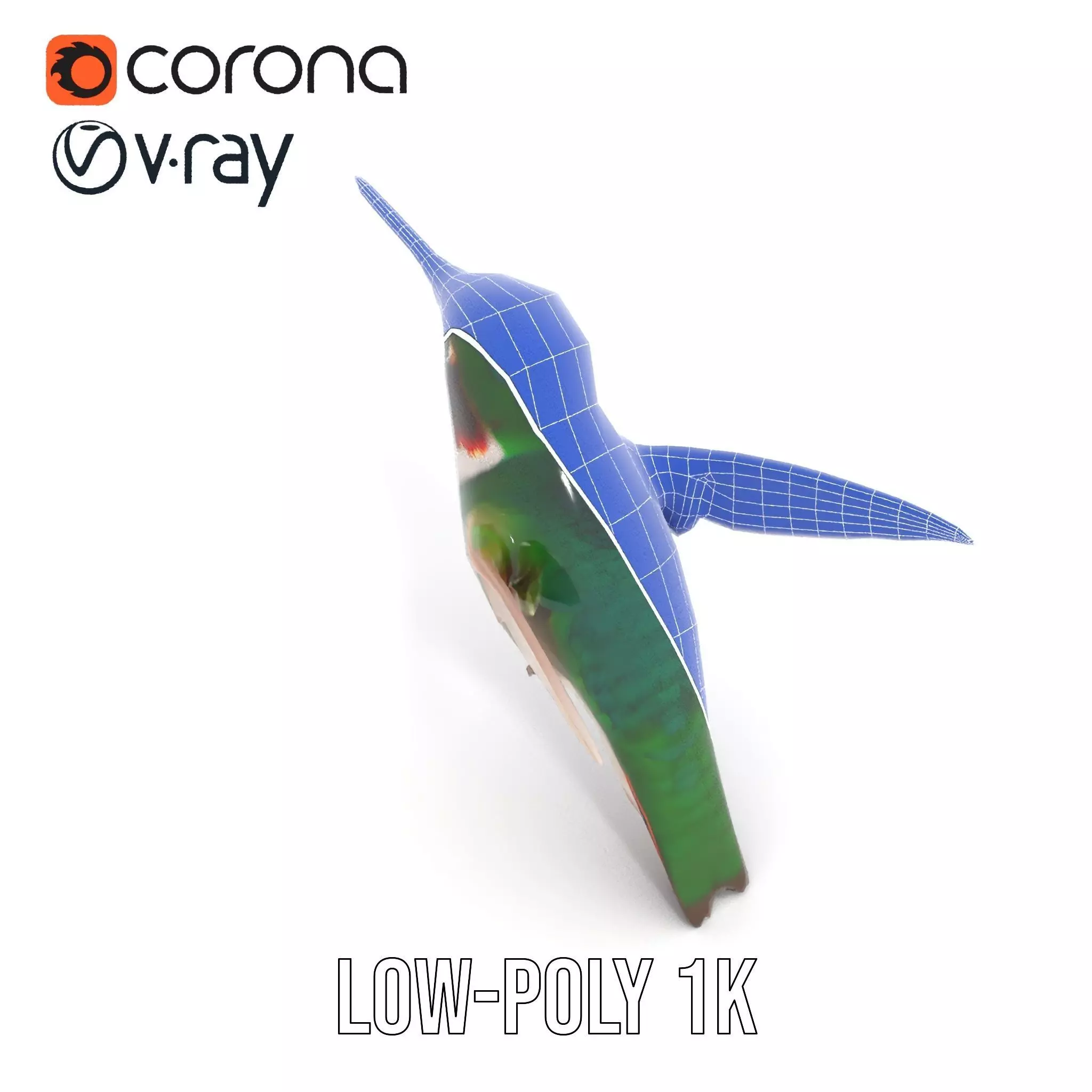 Emerald Hummingbird model pack Low-poly 3D model_22