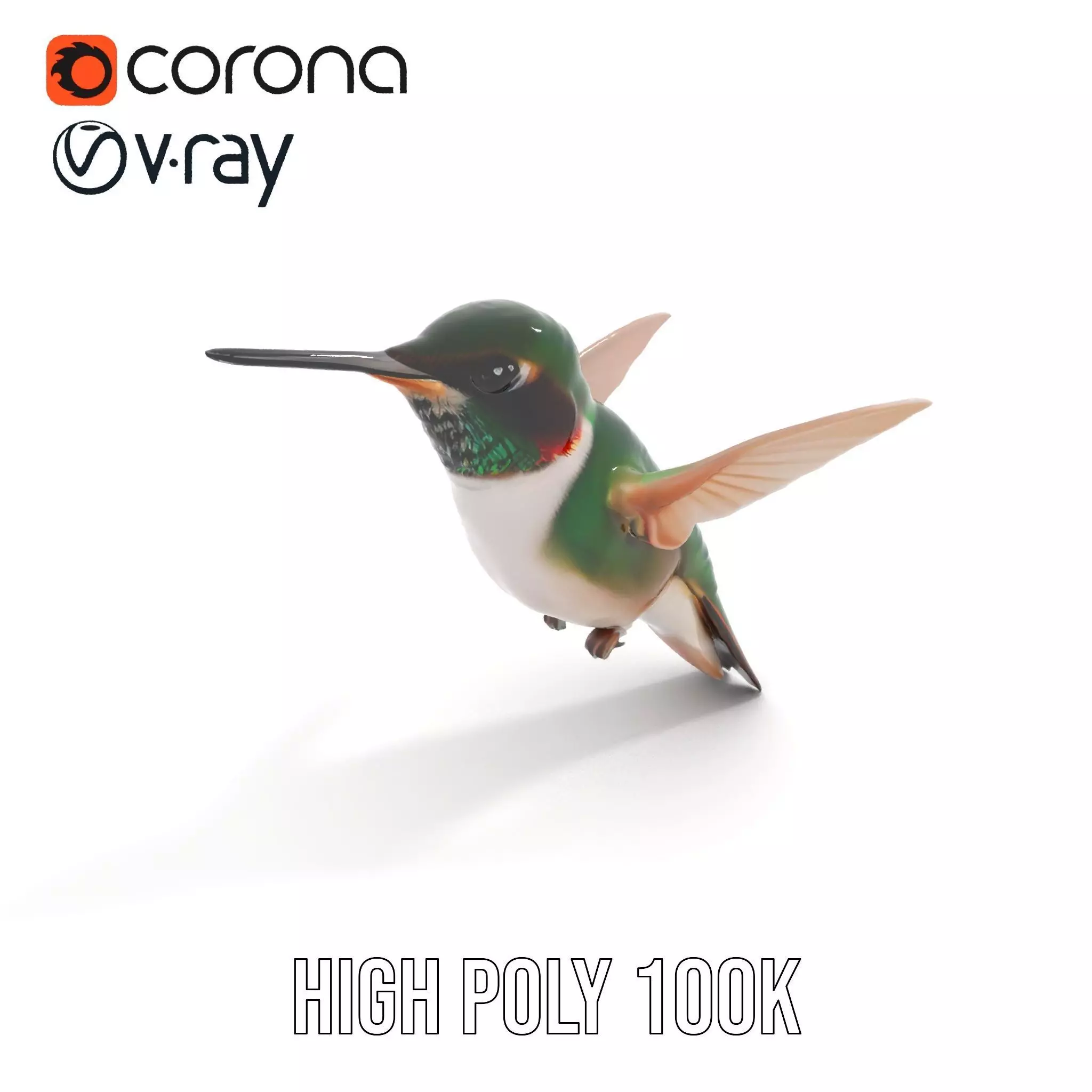 Emerald Hummingbird model pack Low-poly 3D model_17