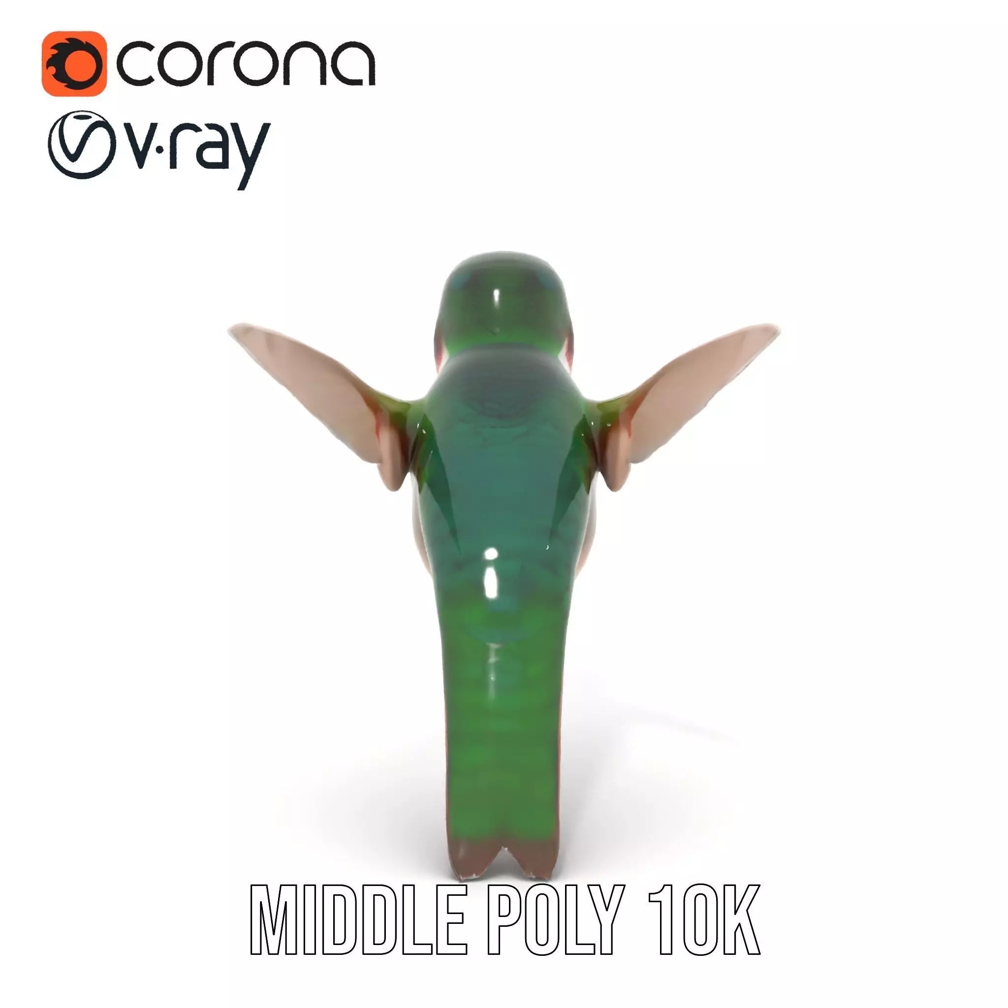 Emerald Hummingbird model pack Low-poly 3D model_11