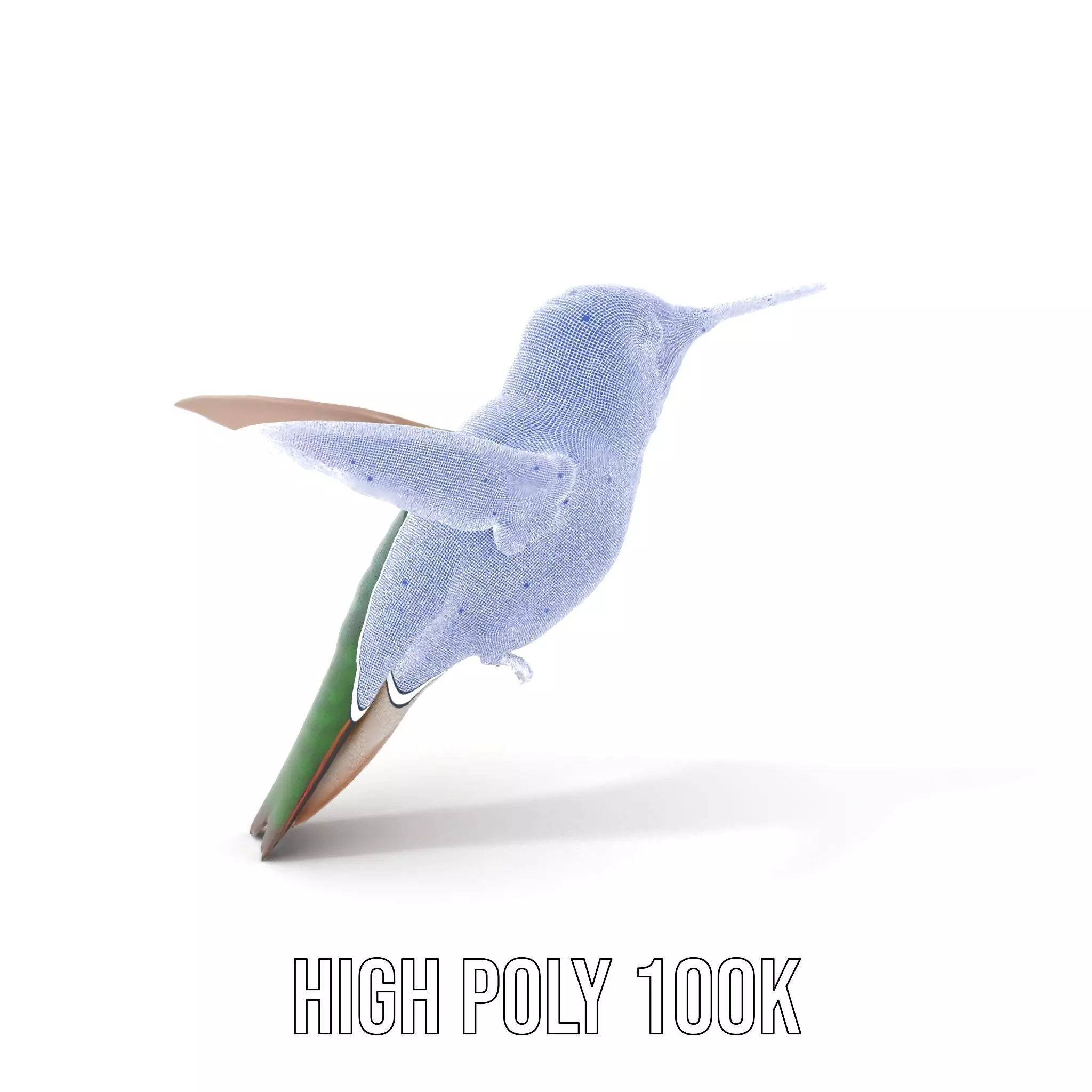Emerald Hummingbird model pack Low-poly 3D model_4