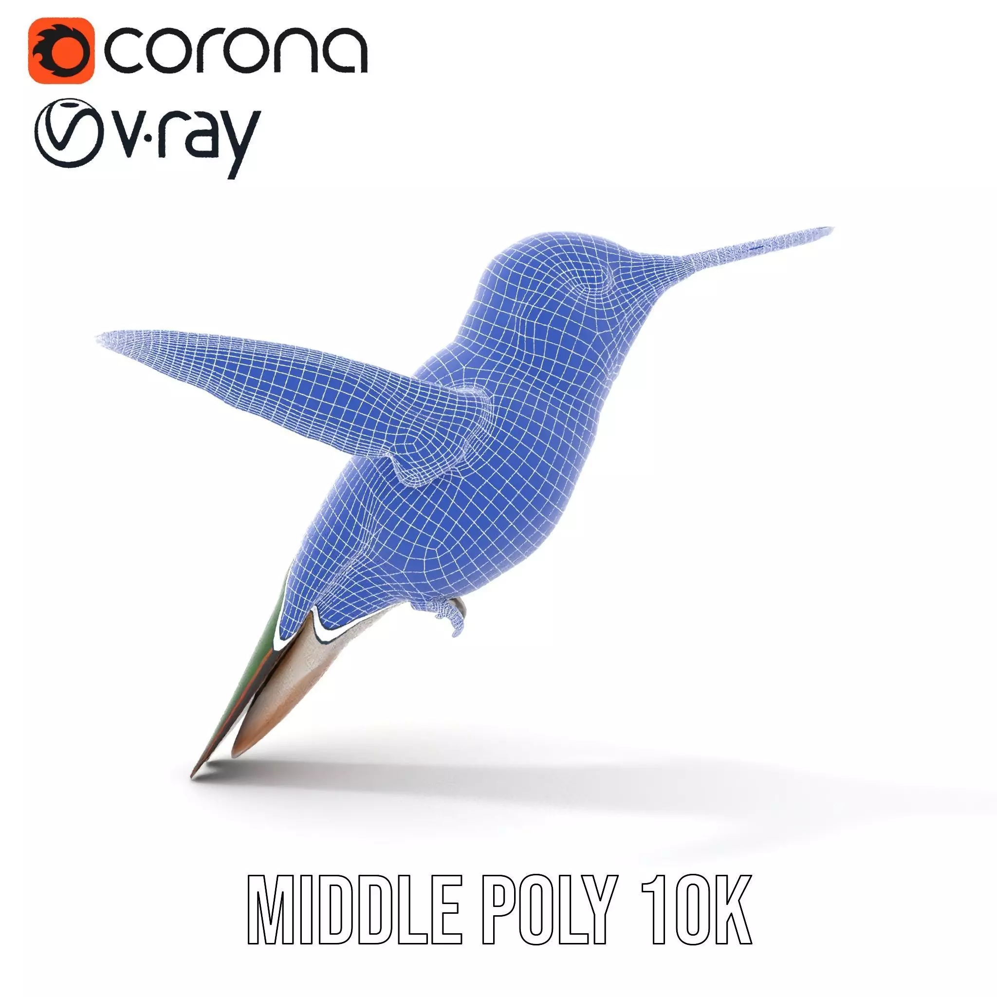 Emerald Hummingbird model pack Low-poly 3D model_27