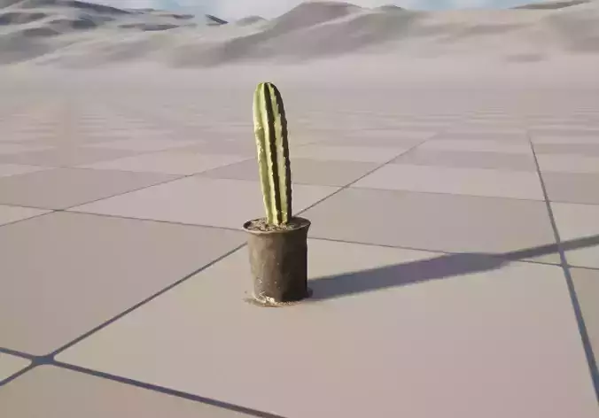 San Pedro Cactus Trichocereus Pachanoi Realistic Potted Plant