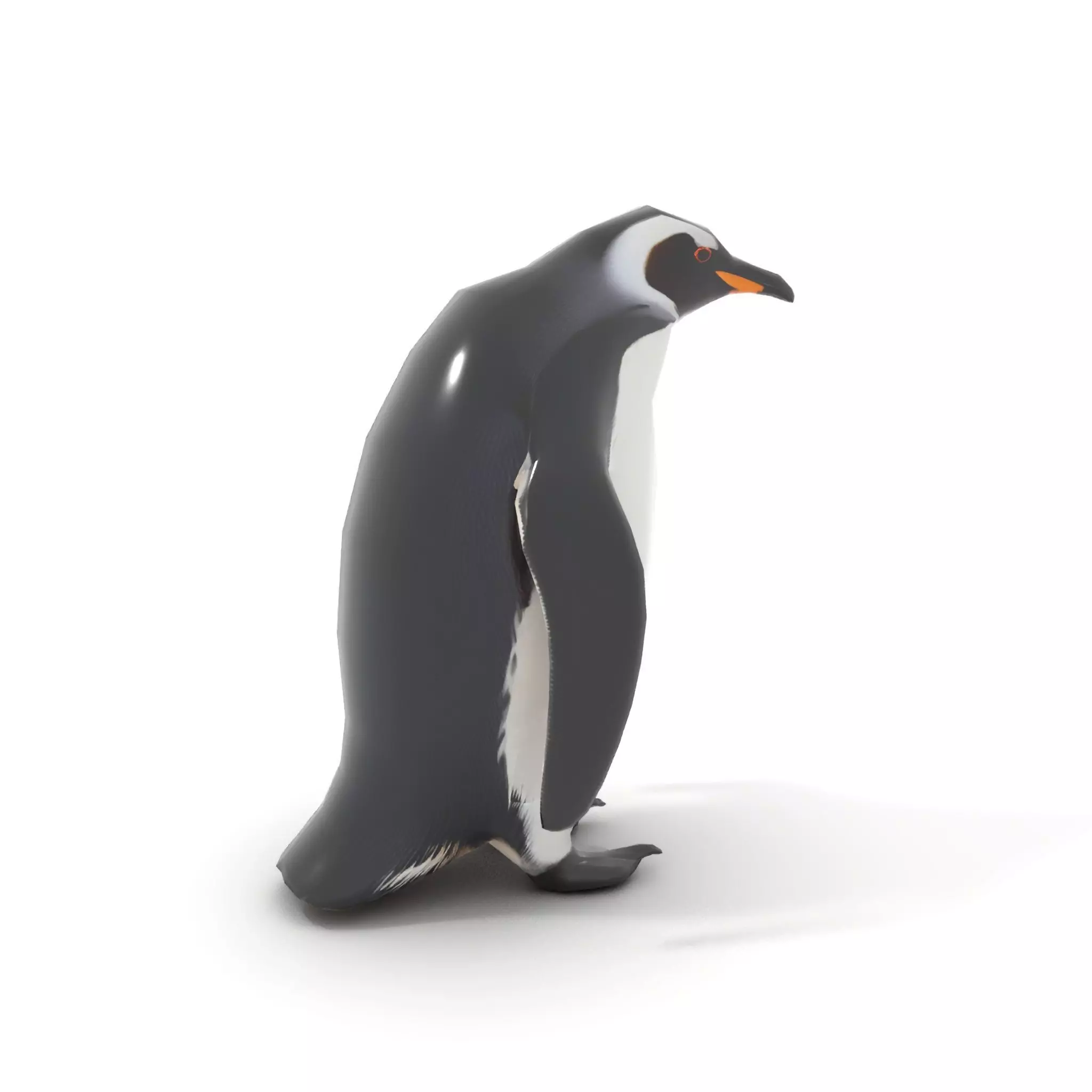 Realistic Emperor Penguin model pack Low-poly 3D model_12