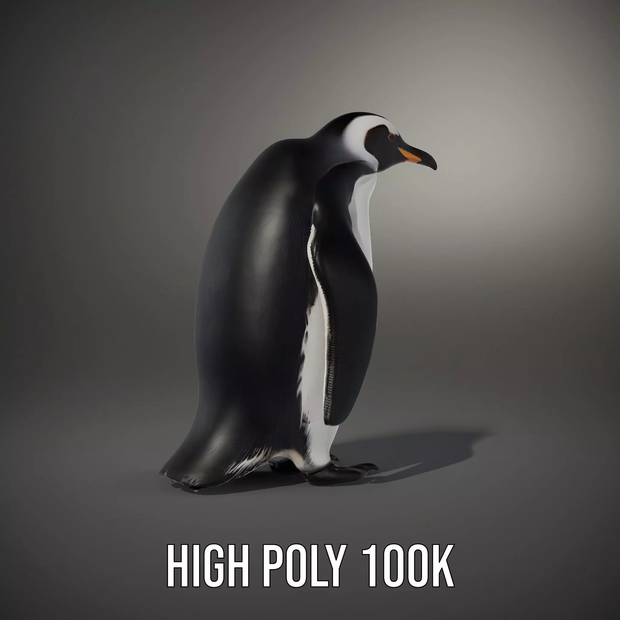 Realistic Emperor Penguin model pack Low-poly 3D model_8