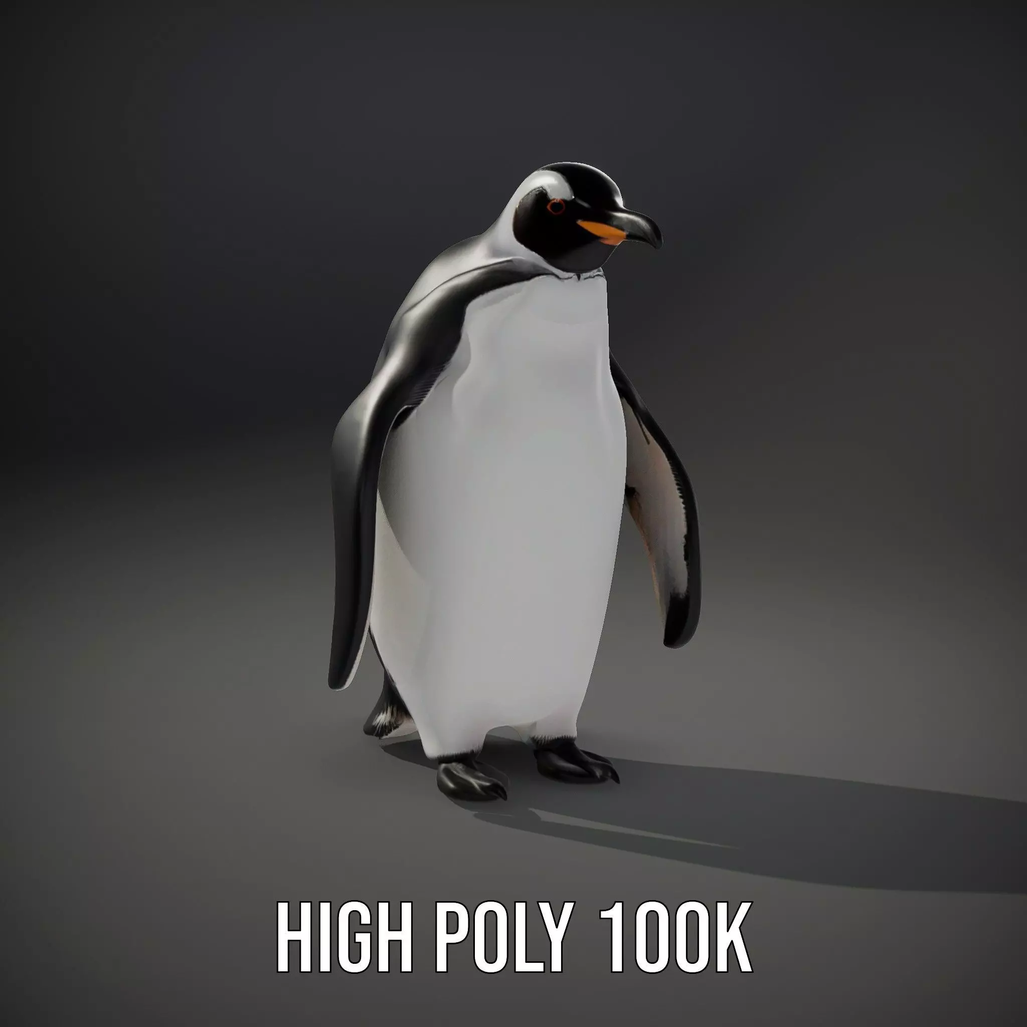 Realistic Emperor Penguin model pack Low-poly 3D model_10