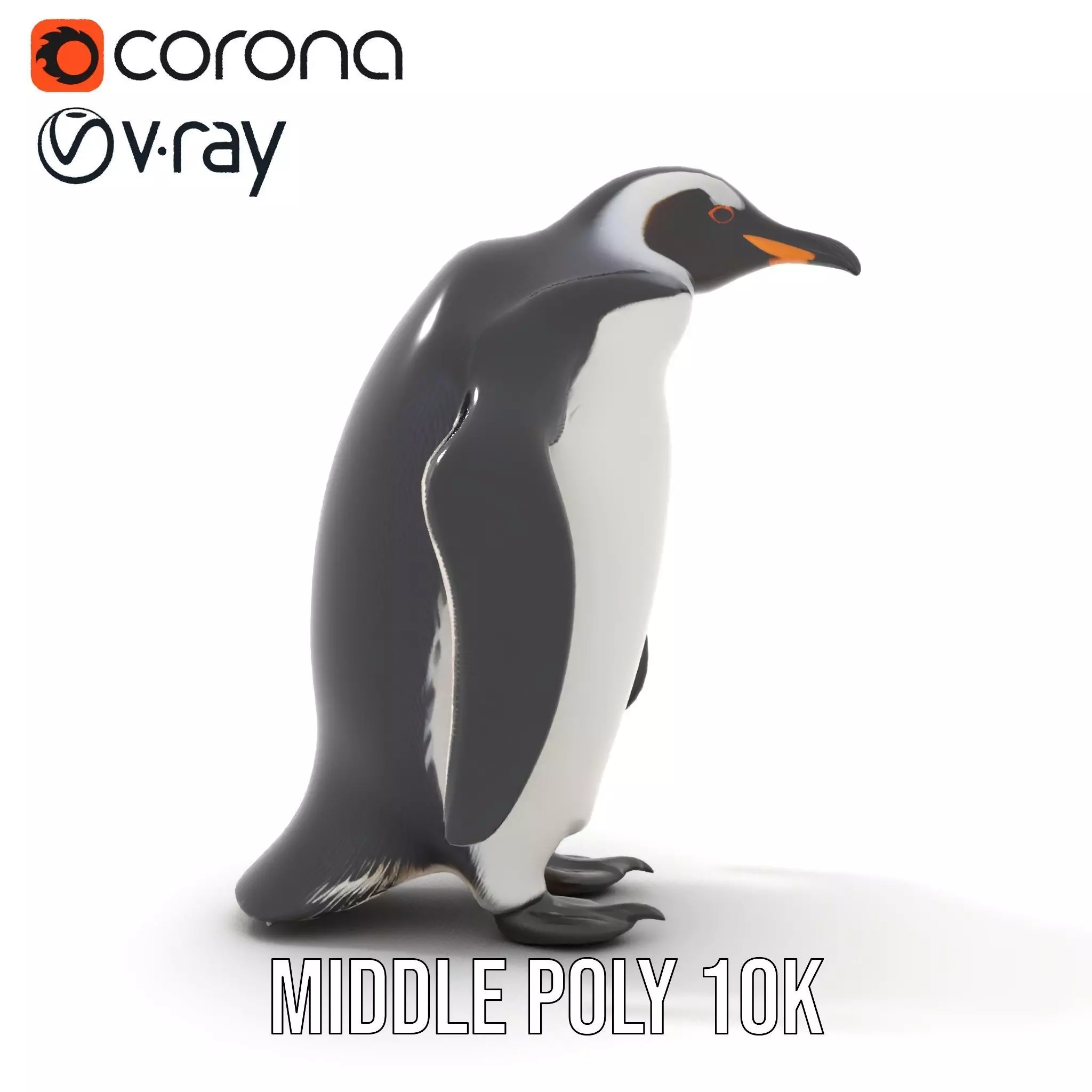 Realistic Emperor Penguin model pack Low-poly 3D model_11