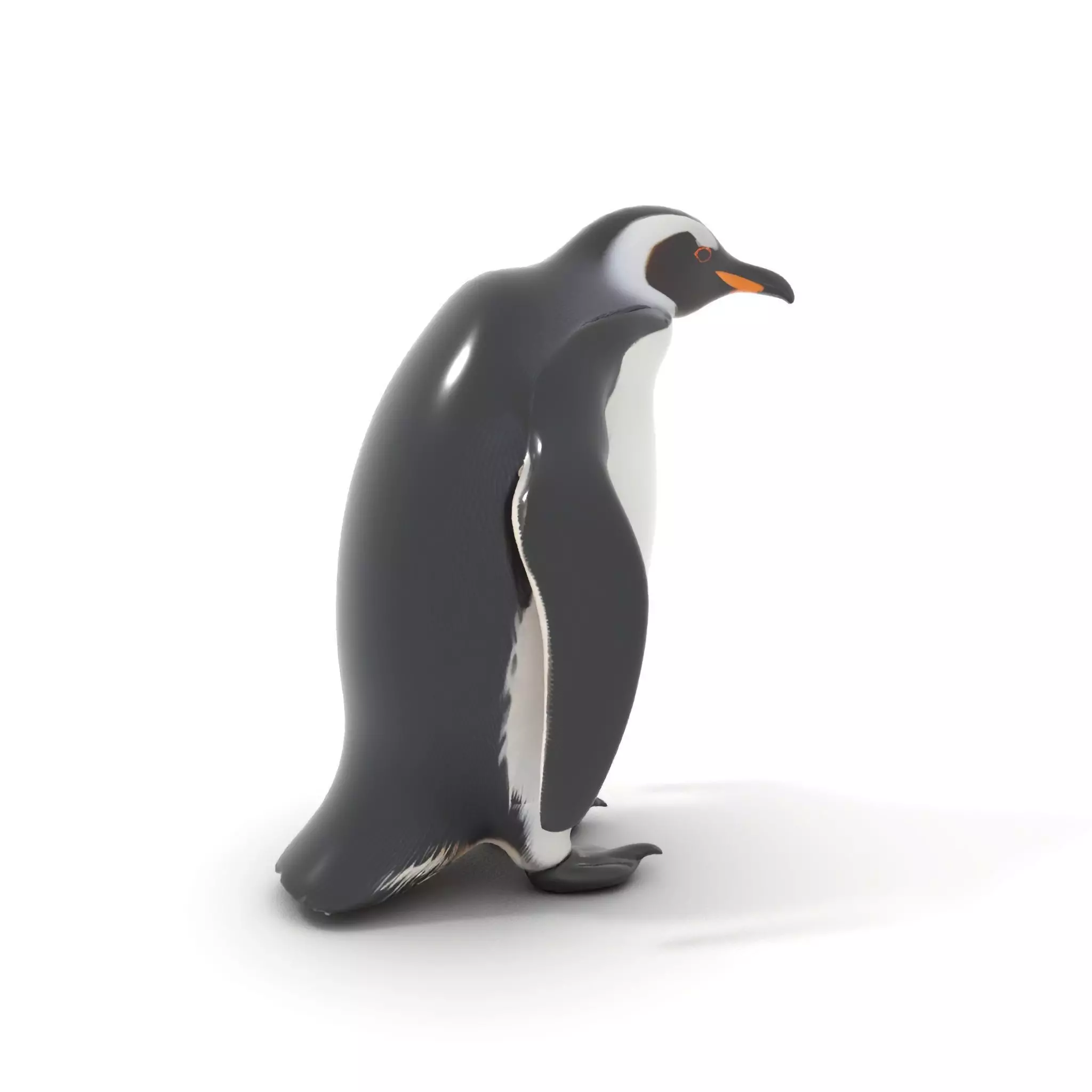 Realistic Emperor Penguin model pack Low-poly 3D model_6