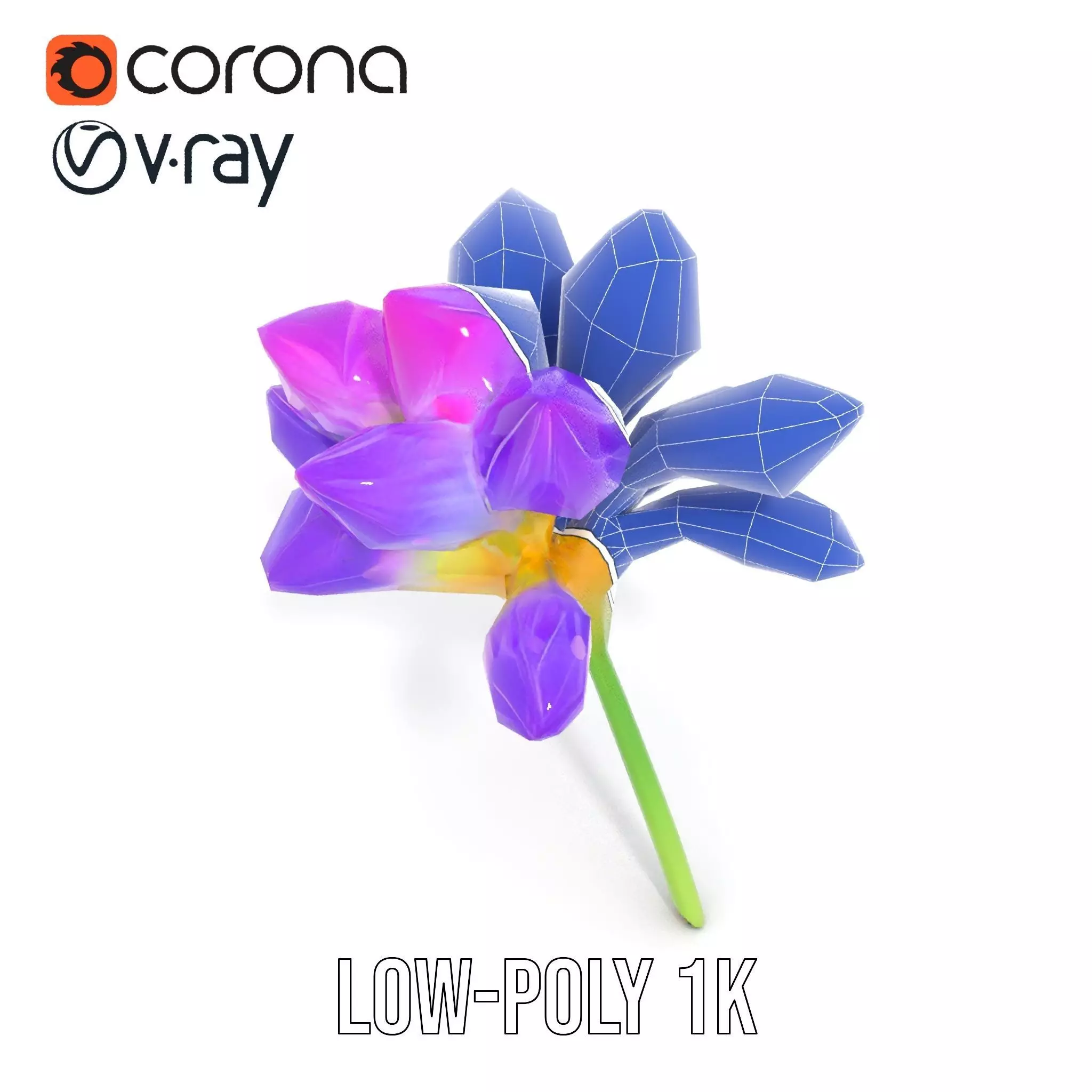 Radiant Orchid Bloom model pack Low-poly 3D model_30