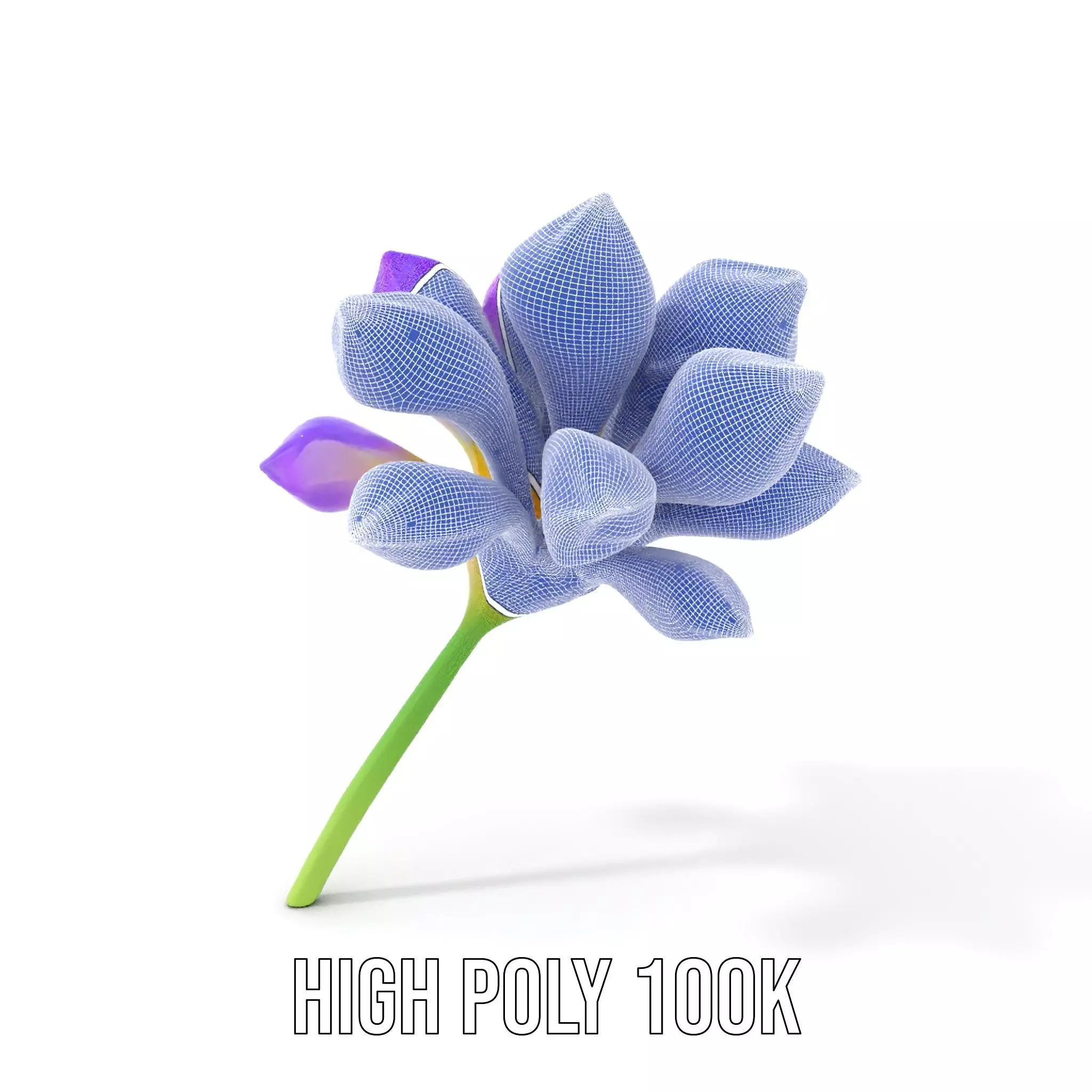 Radiant Orchid Bloom model pack Low-poly 3D model_4