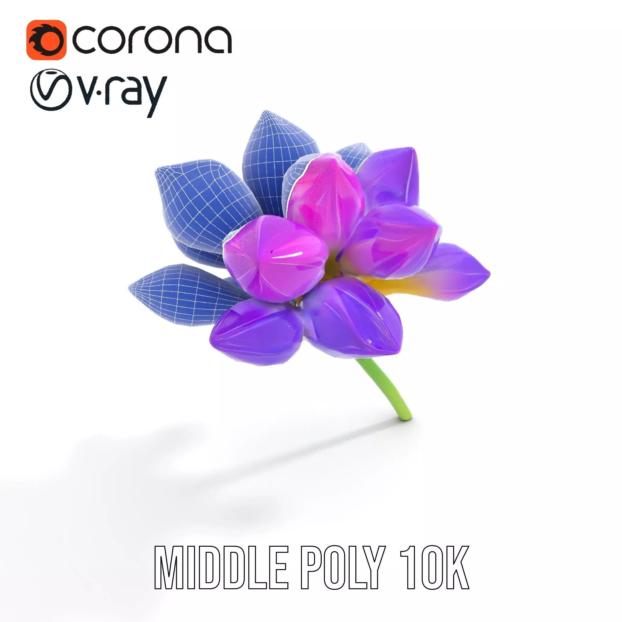 Radiant Orchid Bloom model pack Low-poly 3D model_29