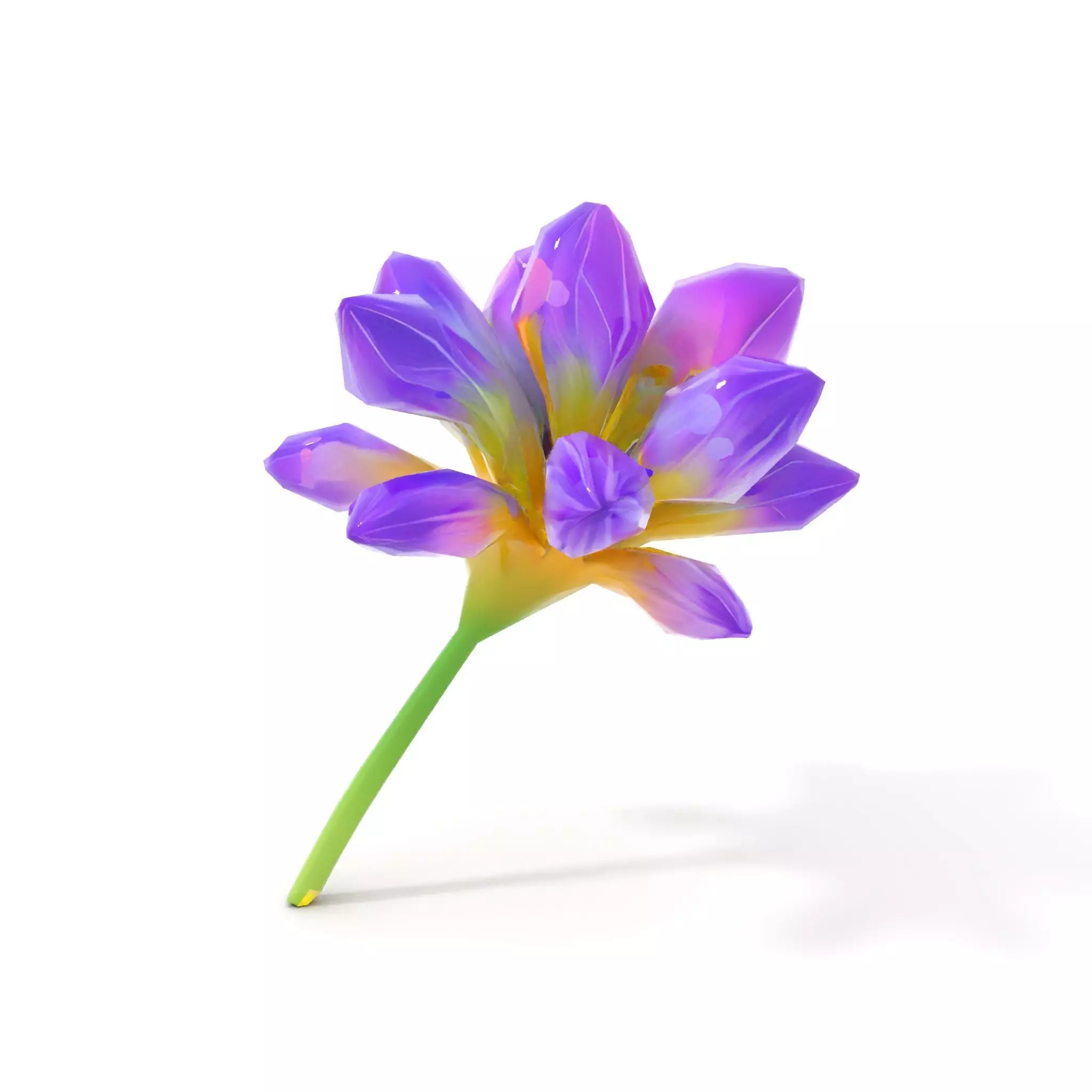 Radiant Orchid Bloom model pack Low-poly 3D model_17