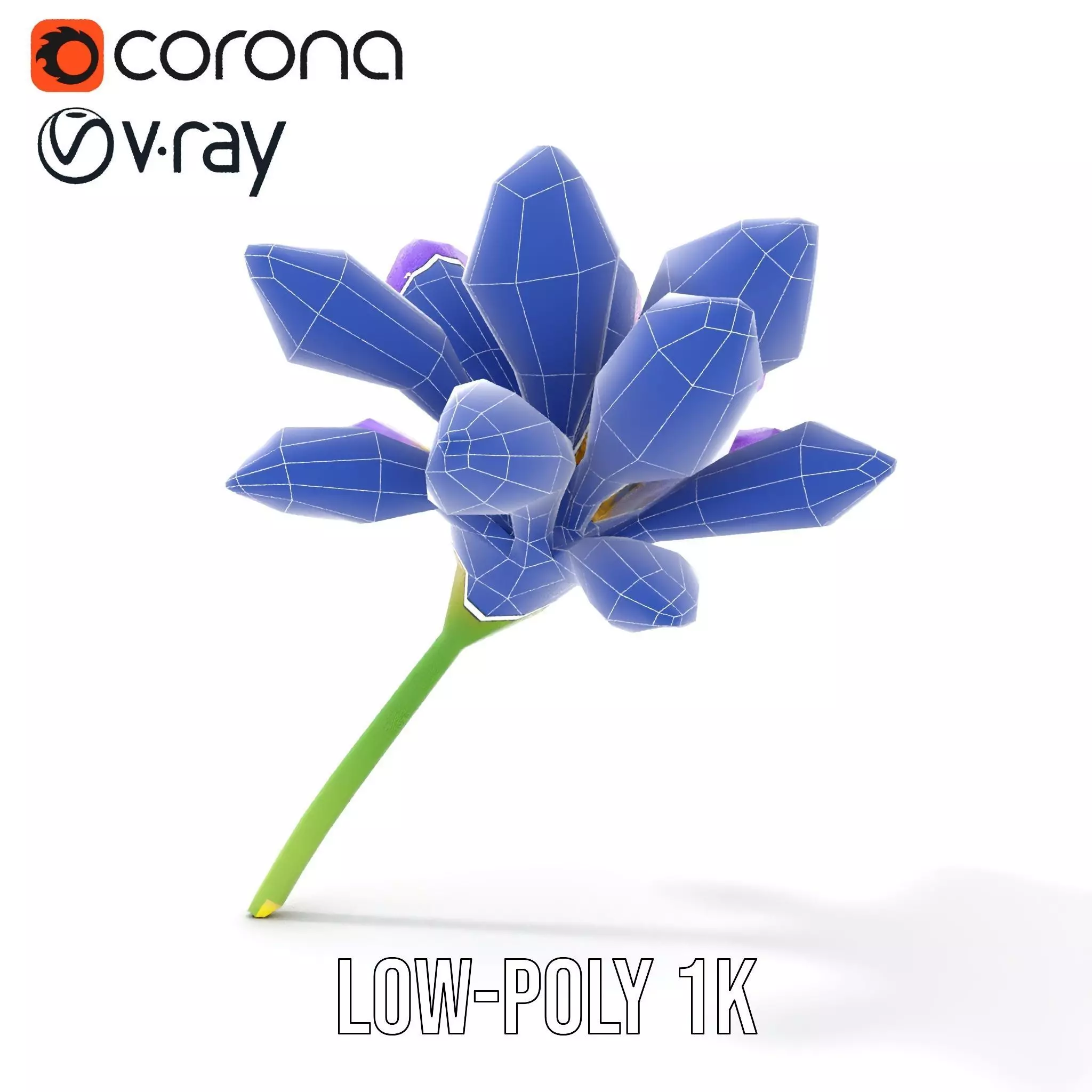 Radiant Orchid Bloom model pack Low-poly 3D model_14