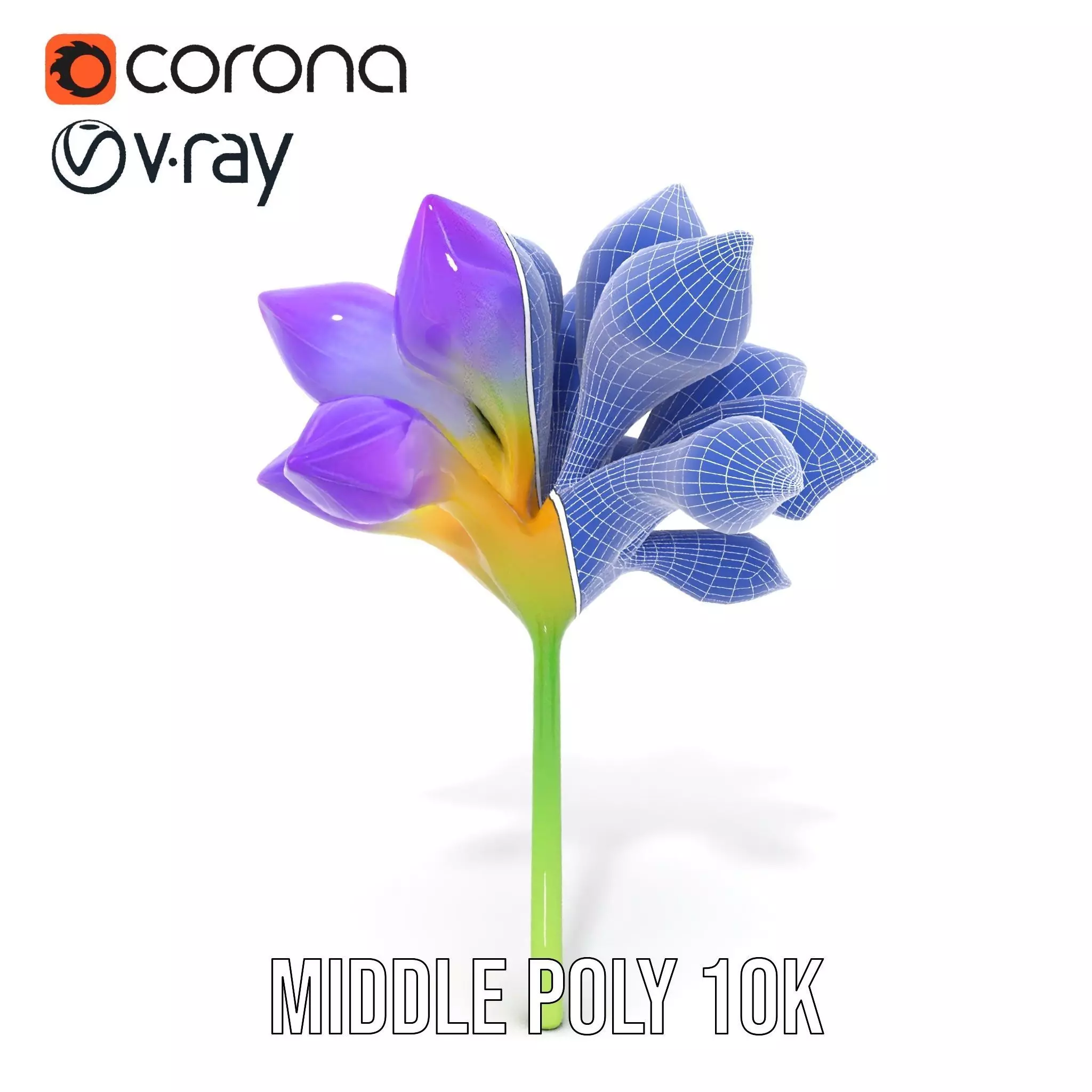 Radiant Orchid Bloom model pack Low-poly 3D model_18