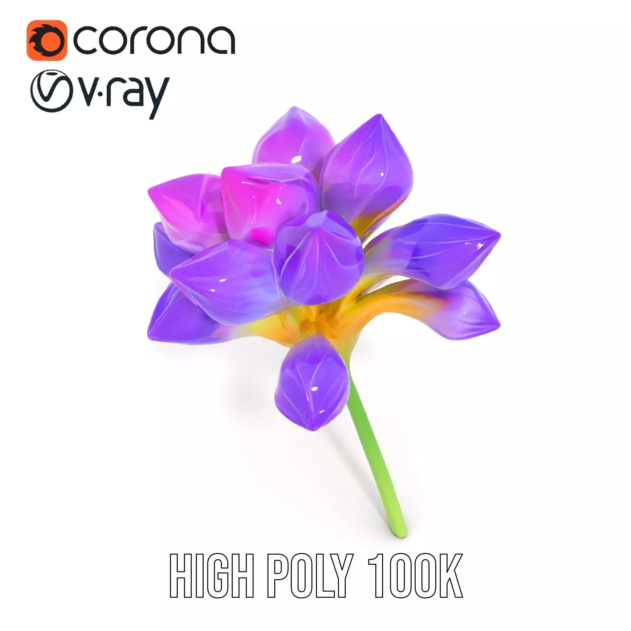 Radiant Orchid Bloom model pack Low-poly 3D model_20